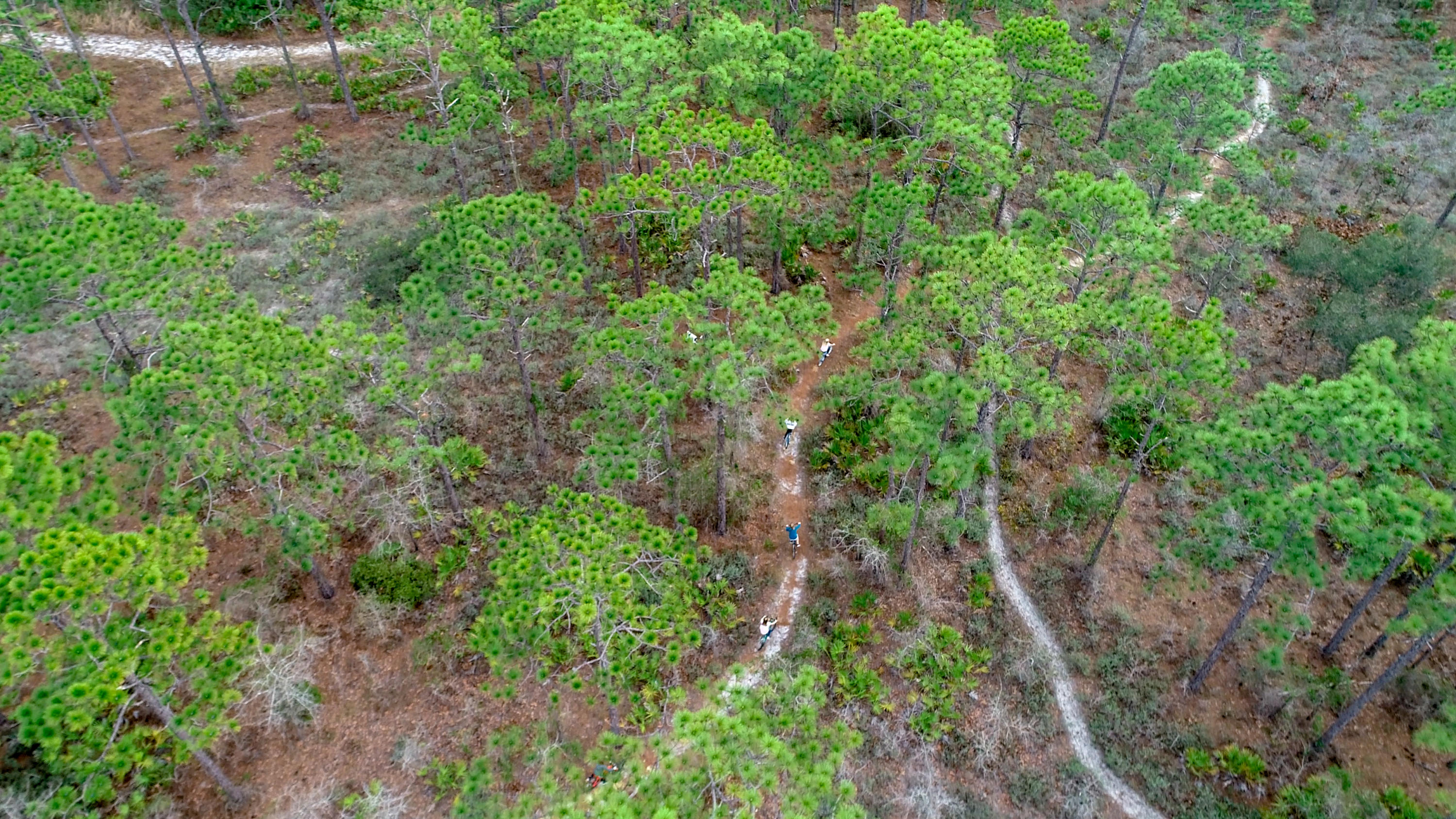 CYPRESS BREEZE PLANTATION III - Residential