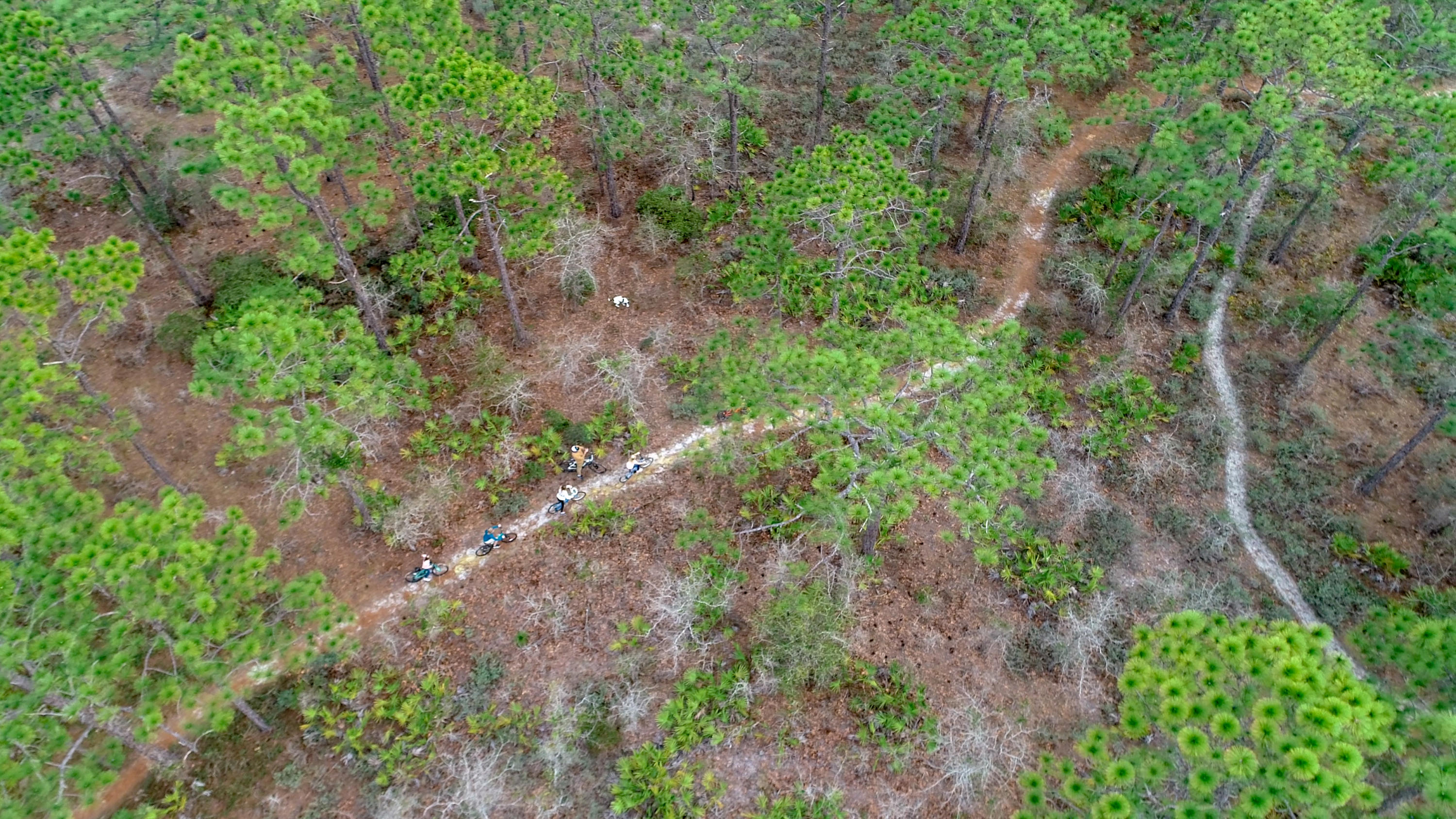 CYPRESS BREEZE PLANTATION III - Residential