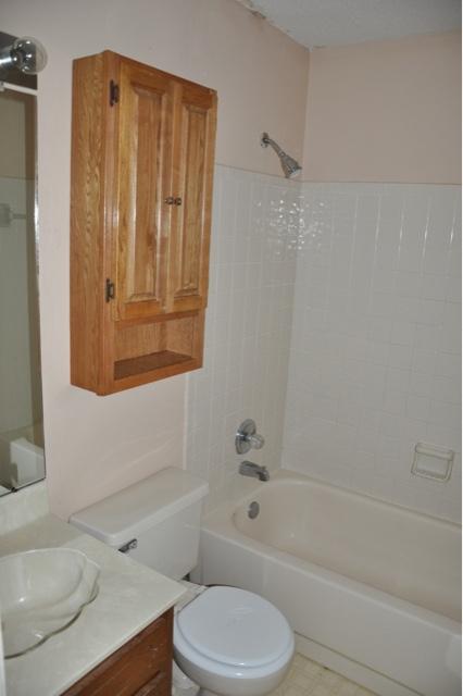 INDIGO VILLAGE - Residential