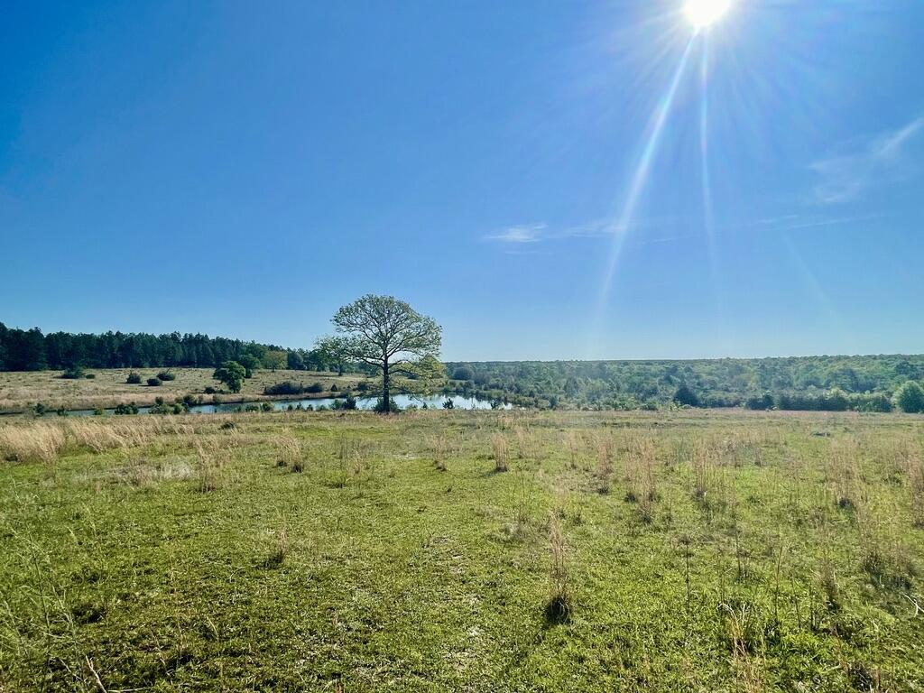 NORTH SUPERGROUP - Land