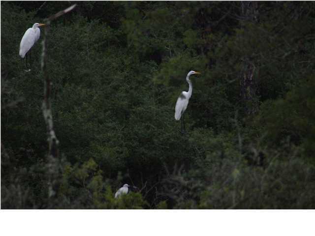 CHURCHILL BAYOU ESTATES AN UNRECORDED SUBDIVISION - Land