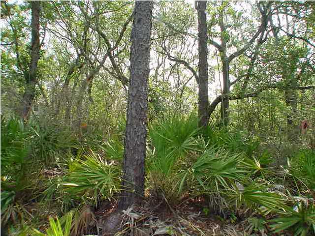 CHURCHILL BAYOU ESTATES AN UNRECORDED SUBDIVISION - Land