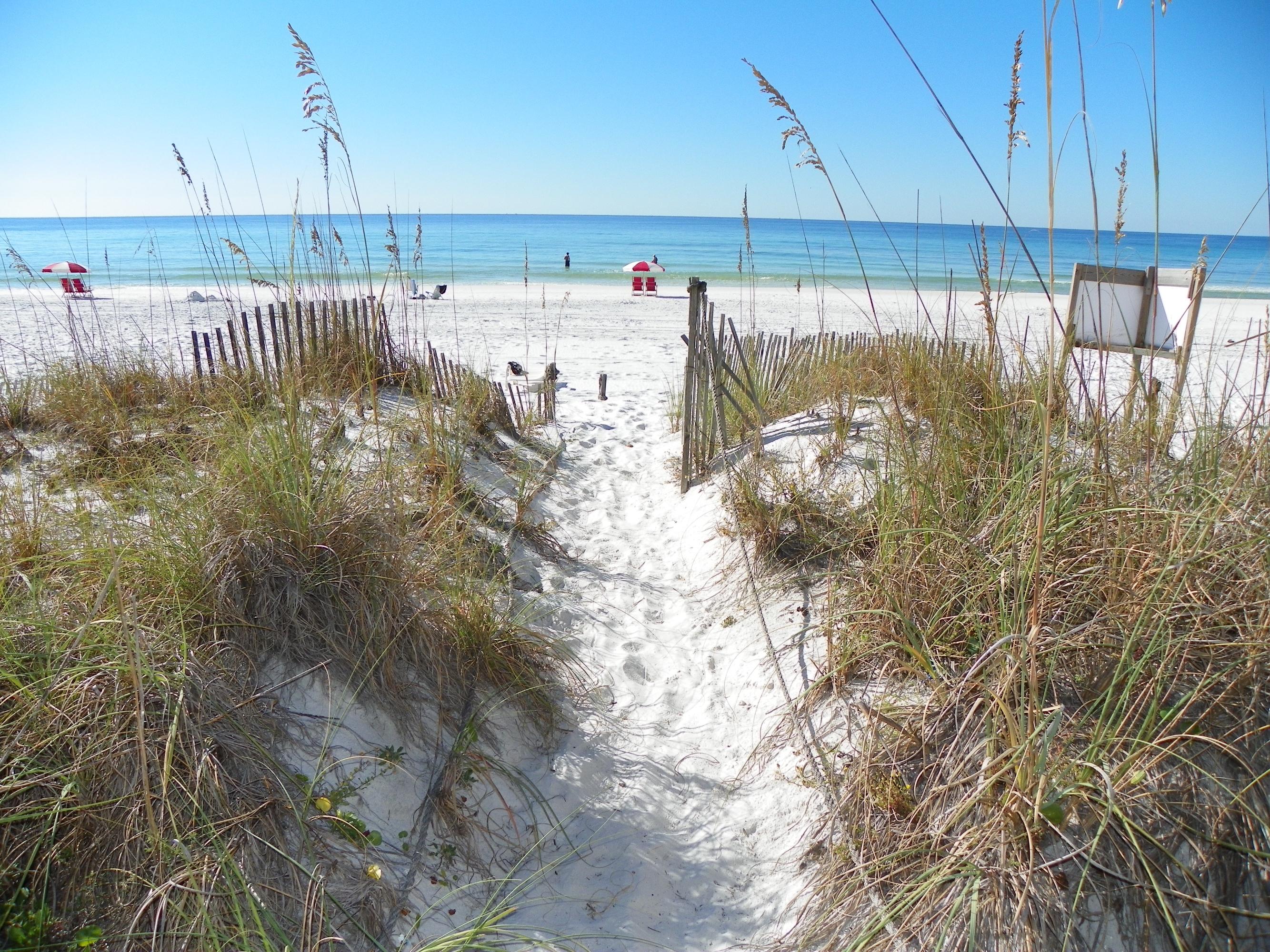 SANDDOLLAR T/H - Residential