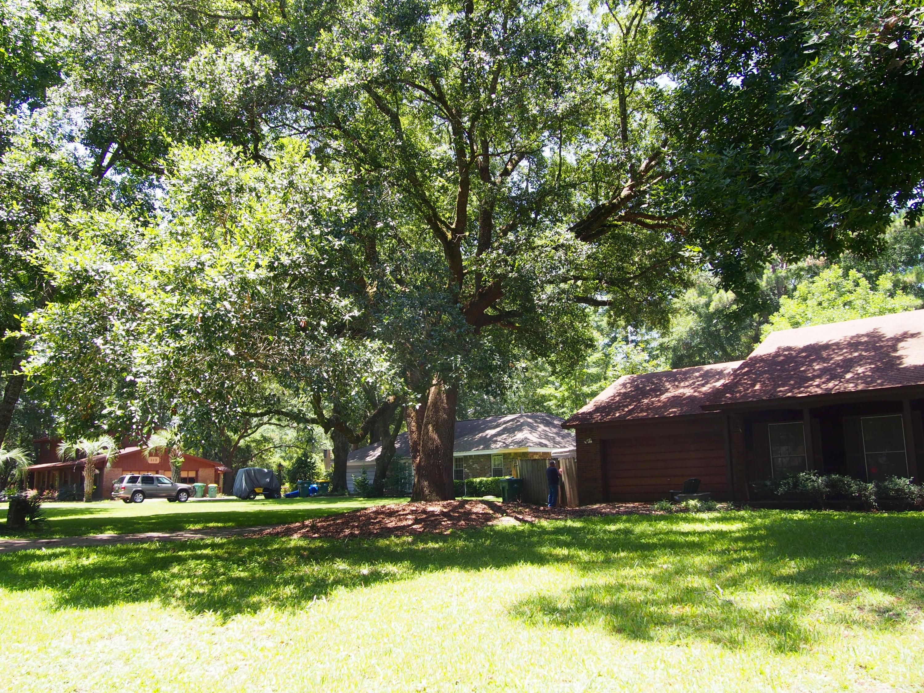 BAHAI VISTA - Residential