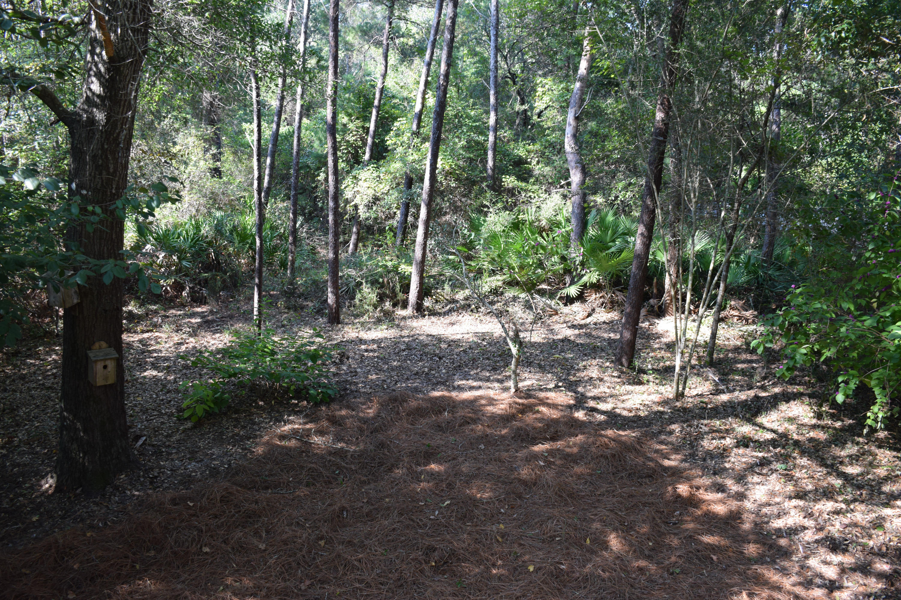 HUNTINGTON S/D PH 1 - Residential