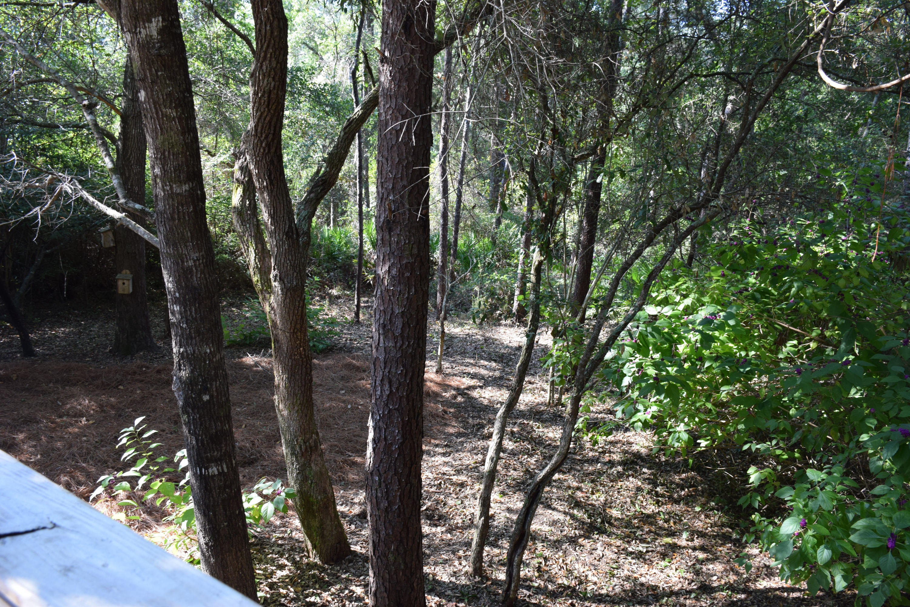 HUNTINGTON S/D PH 1 - Residential