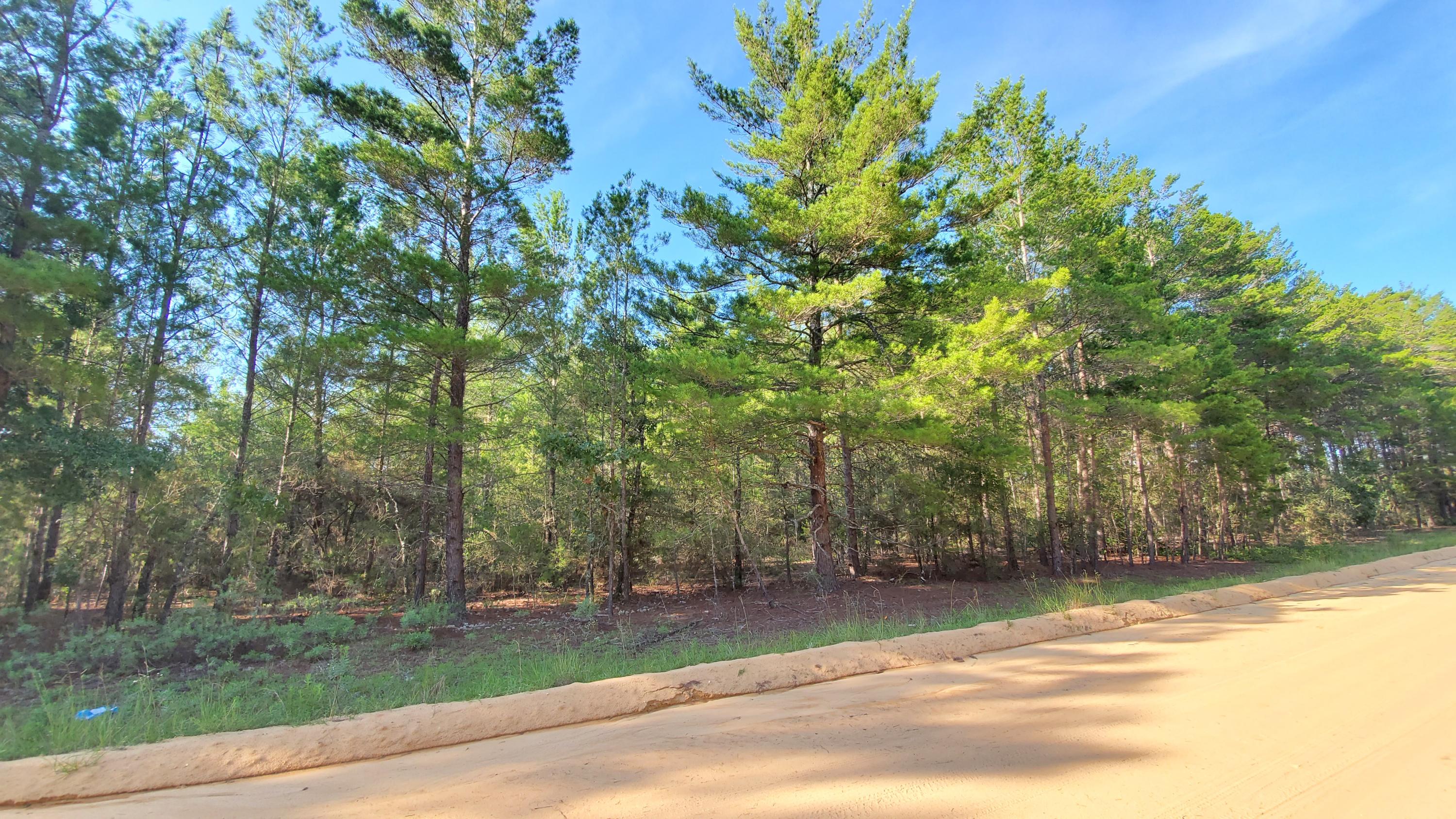 This is the 10 acres that you've been looking for!! It is so pretty and on a nice, wide, quiet county-maintained road! Definitely plan take a look at this one, ASAP!! Crestview address, but located in North Walton County (where county millage rate is a little lower, which means taxes are a little lower, too). Mossy Head Water Works is available on Coyote Rd.