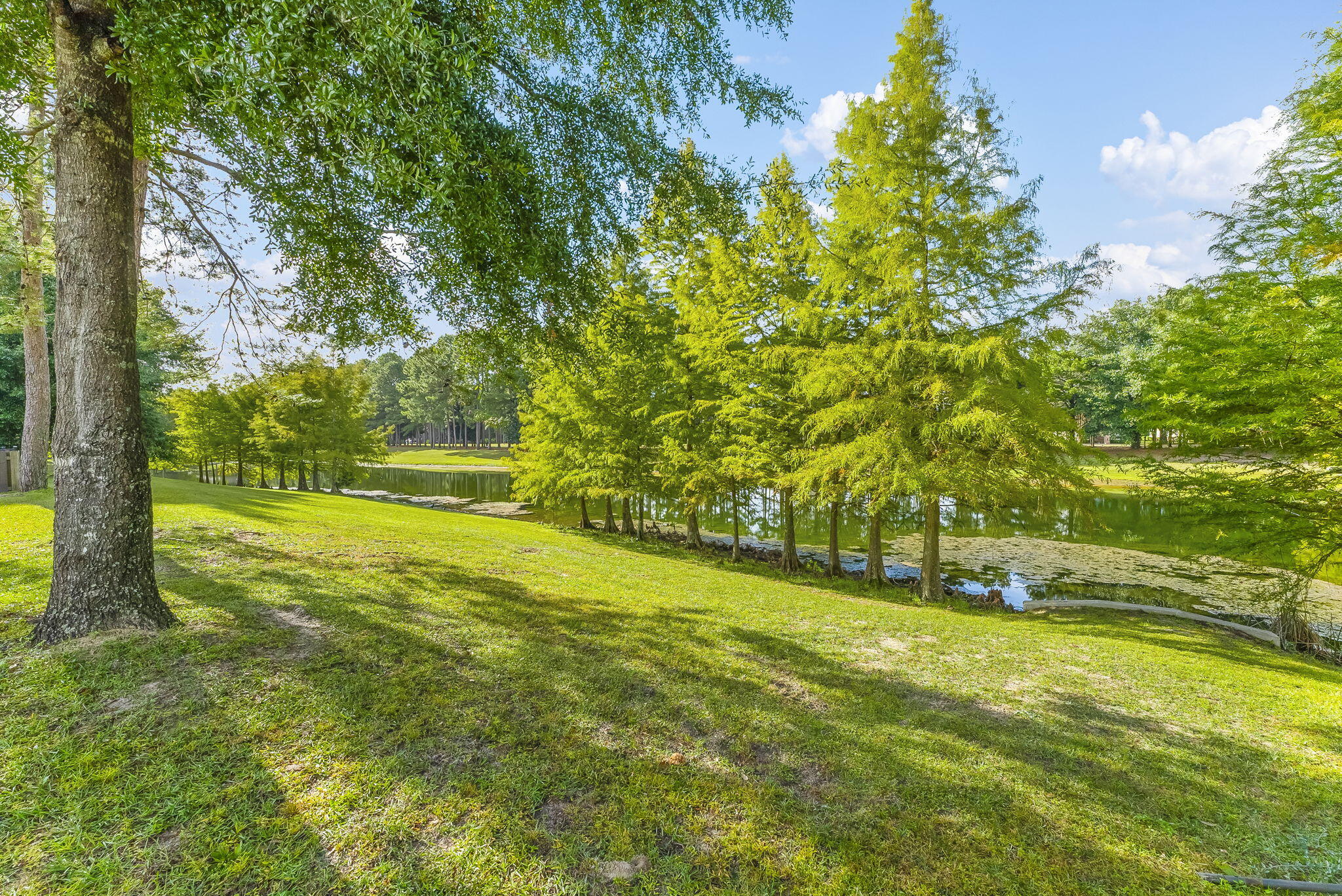 HAMMOCK BAY - Residential Lease