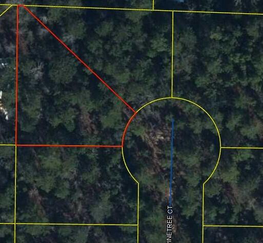 Affordable! Beautiful wooded high and dry lot located in a cul de sac with lots of peace and serenity. Located in Defuniak Springs with a close proximation to I-10  & CR 285, Blackstone Golf Course, and about 45 minutes to the Emerald Coast pristine sandy white beaches. No HOA fees, minimal restrictions and modular homes allowed. Power is located on the street and will need to be run to the lot.