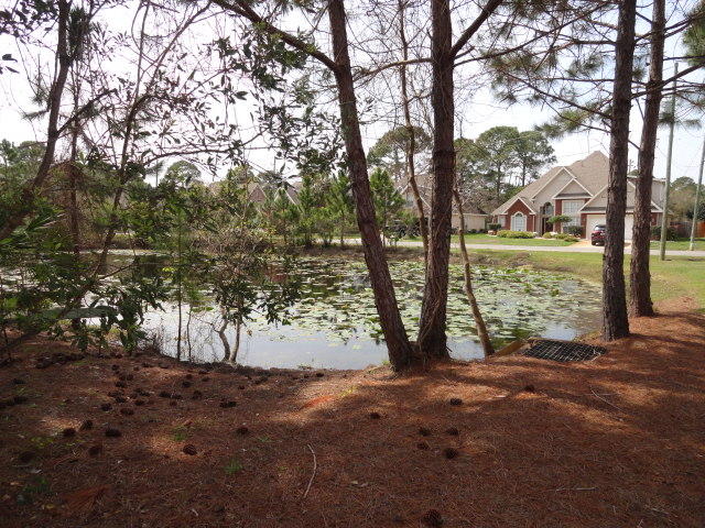 OLDE FLORIDA LAKES - Residential