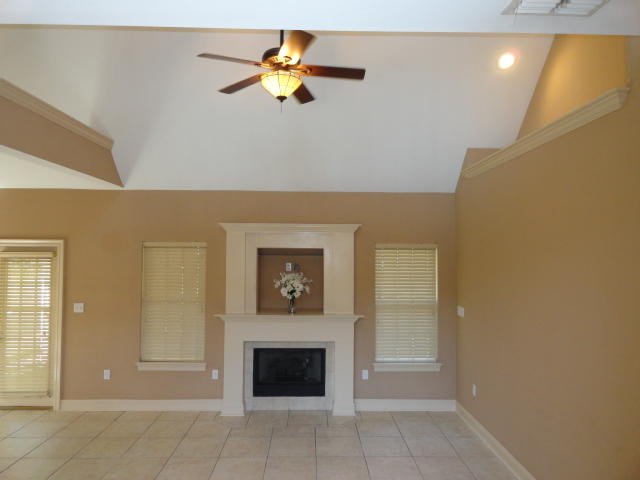 OLDE FLORIDA LAKES - Residential