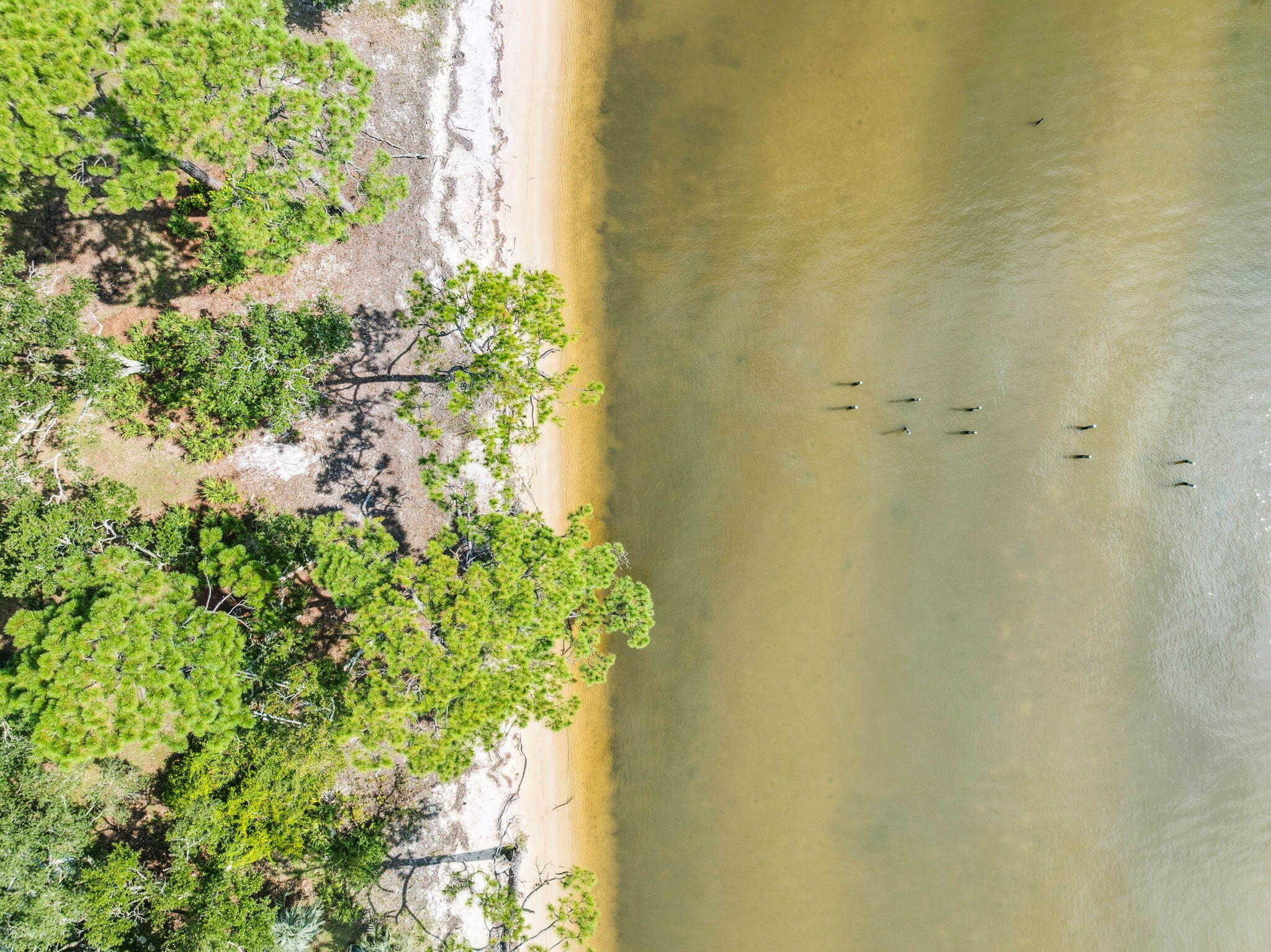 MORRIS BAY - Residential