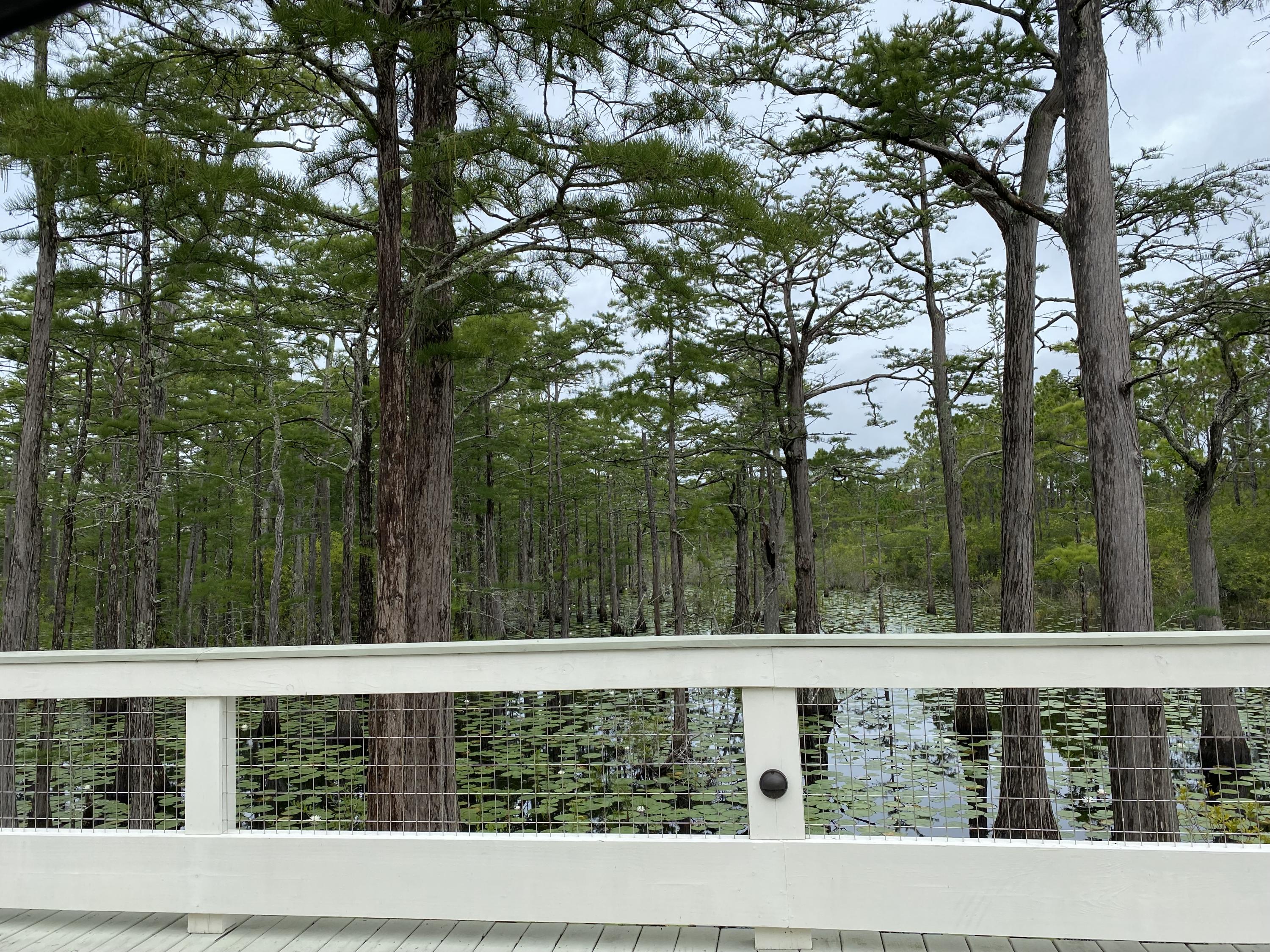 CYPRESS DUNES - Residential