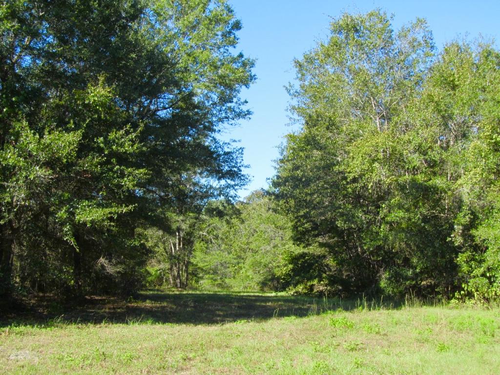 Attention hunters, wild life lovers and outdoor enthusiasts! This 76 acre parcel has it all! Rolling hills, a high banked creek, an abundance of wildlife, a great location ( just minutes to the beaches of South Walton) and a great price!! Property like this 76 acre tract located south of I-10 rarely comes available for sale. Qualified buyers only.