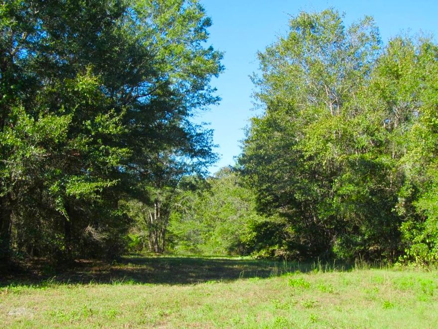 Attention hunters, wild life lovers and outdoor enthusiasts! This 76 acre parcel has it all! Rolling hills, a high banked creek, an abundance of wildlife, a great location ( just minutes to the beaches of South Walton) and a great price!! Property like this 76 acre tract located south of I-10 rarely comes available for sale. Qualified buyers only.
