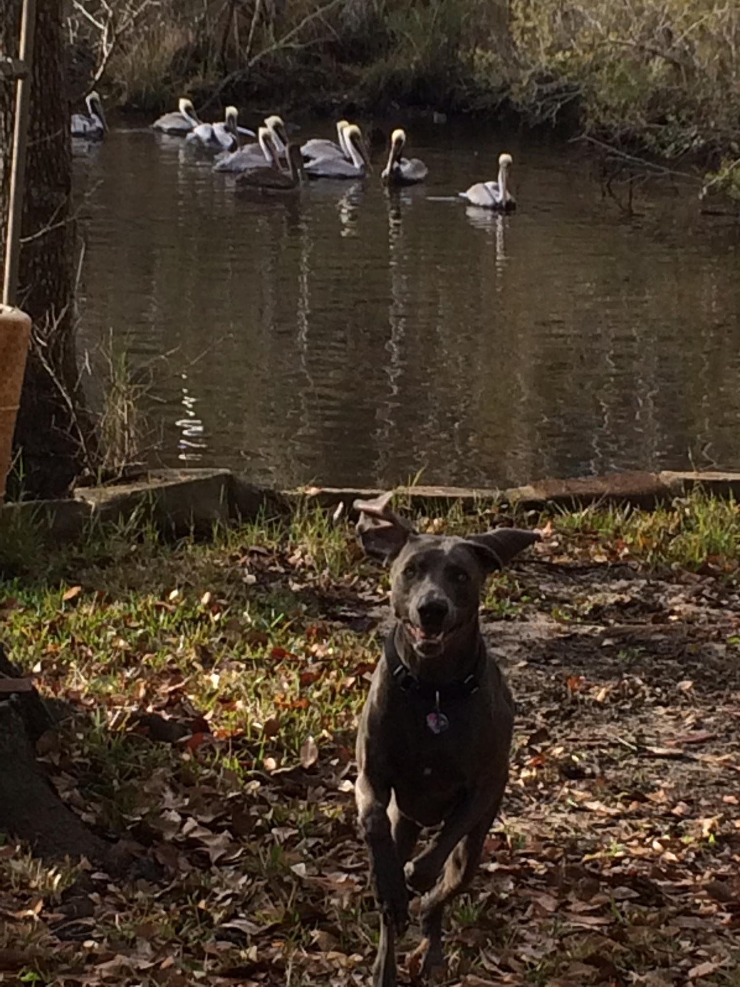 OVERBROOK - Residential