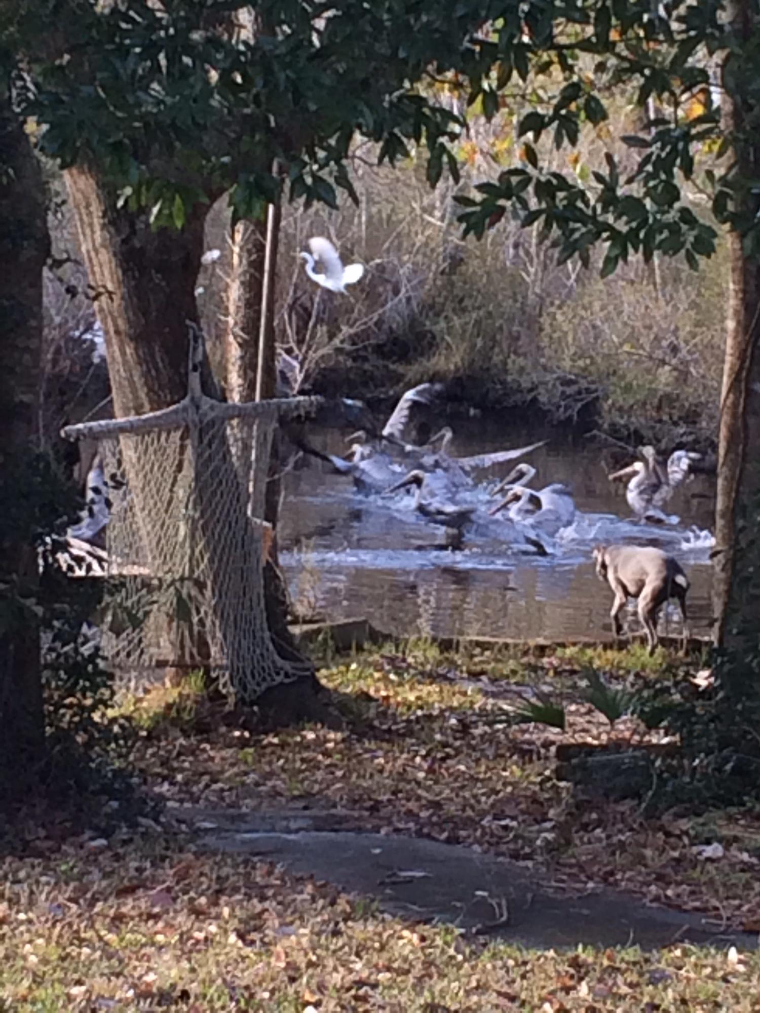 OVERBROOK - Residential