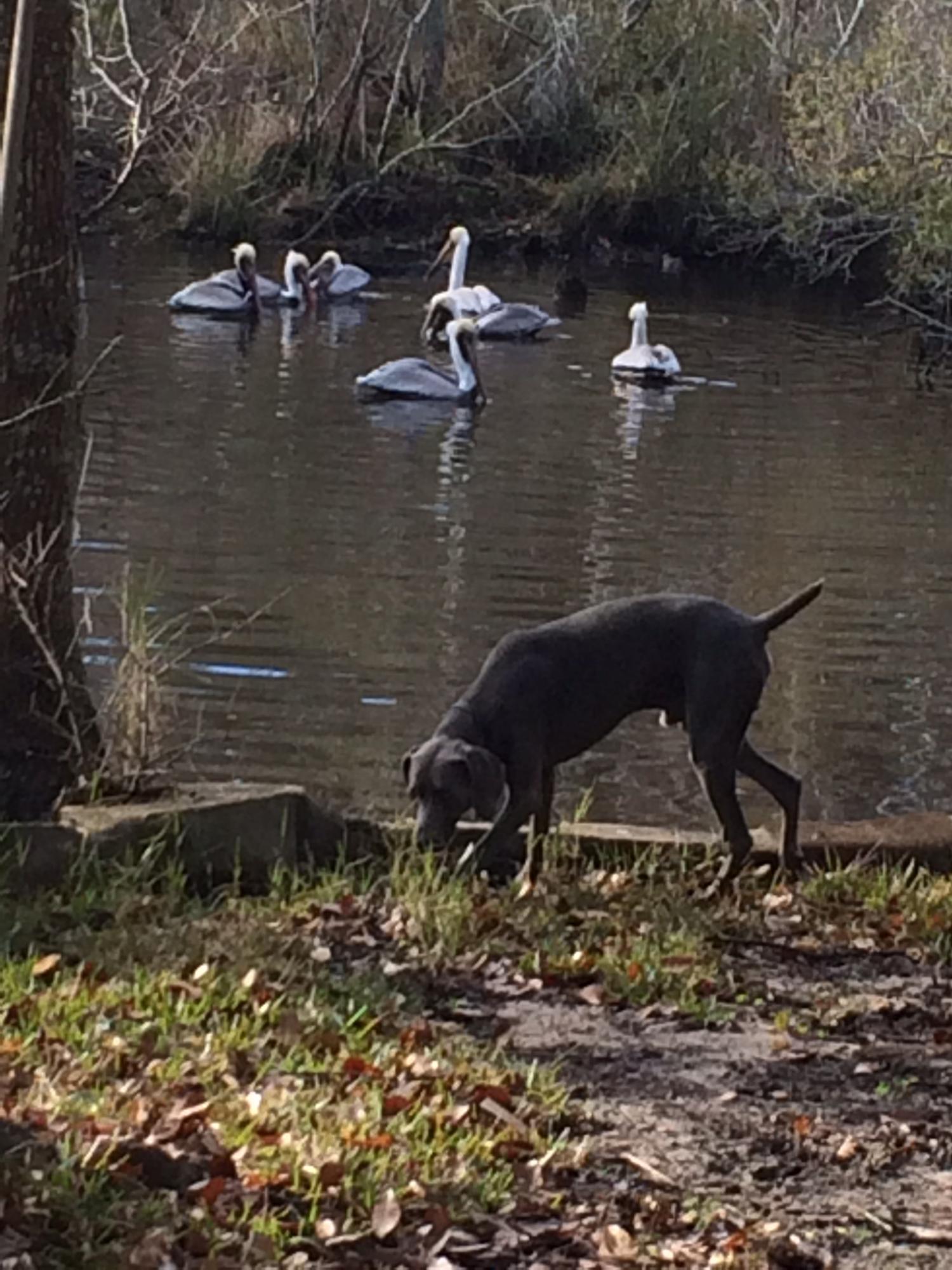 OVERBROOK - Residential