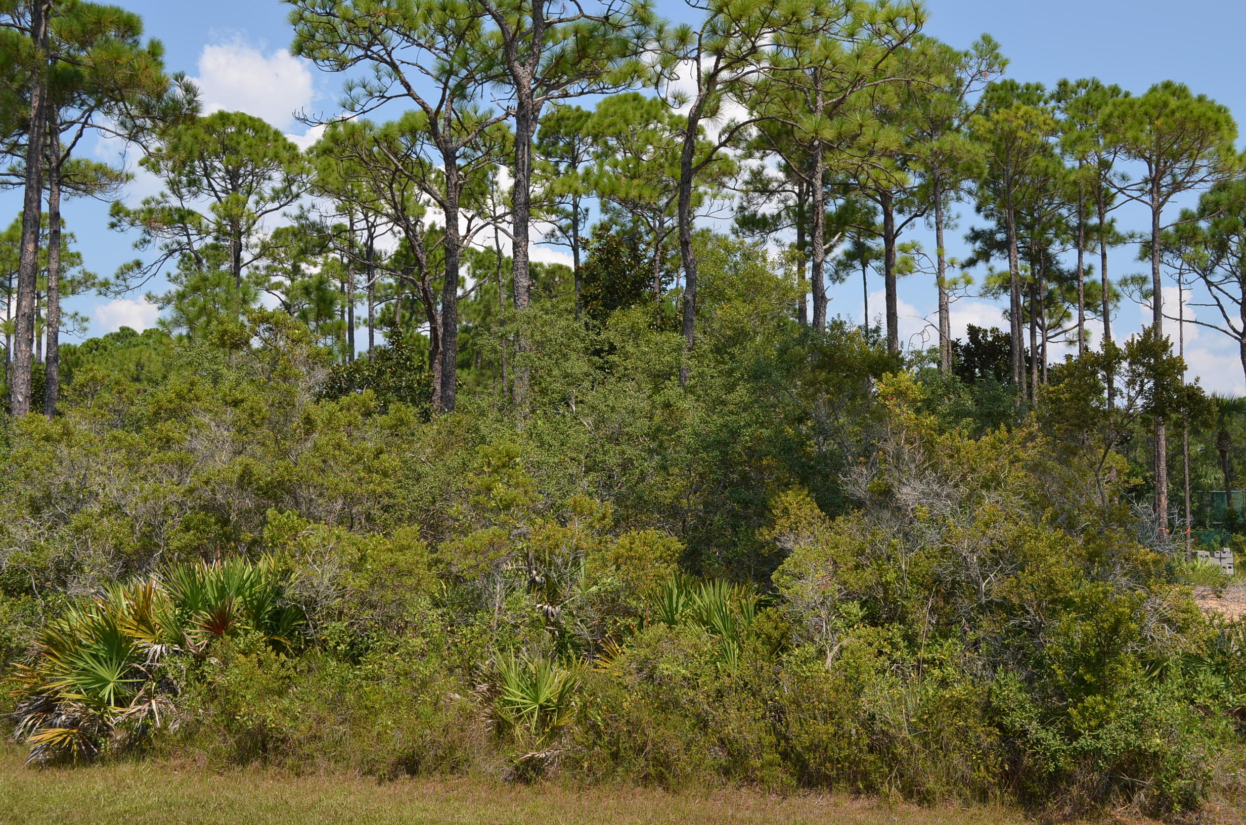 PELICAN BAY S/D - Land