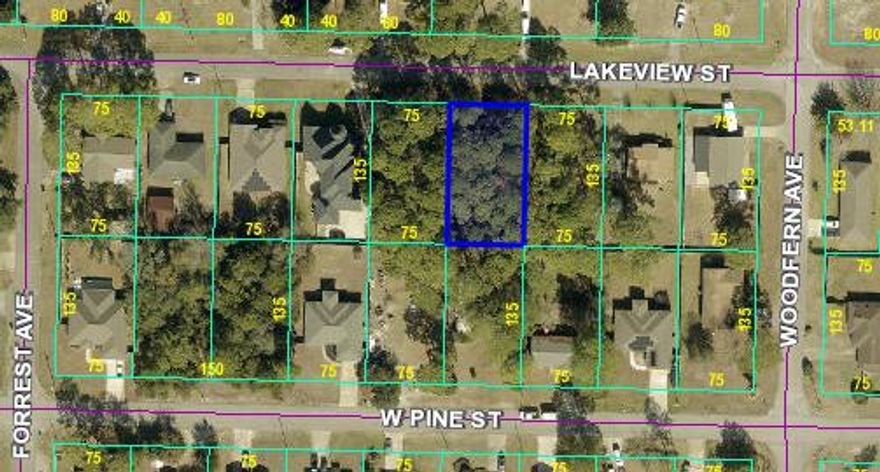 &#128293; Price Reduced! Seller Motivated!Fantastic opportunity to build in Wynn Haven Beach Estates. Now listed at $60,000, this is the best value in the area. Call today before it's gone! Opportunity awaits with this 10,125 sq ft wooded lot in Wynn Haven Beach Estates! Located behind 513 W Pine St with frontage on quiet Lakeview St. The property features mature trees and a natural creek. Per Okaloosa County Growth Management, the creek is not a drainage feature and not classified as wetlands. No HOA. Minutes to Hurlburt Field, shopping, dining, and top-rated schools. Public boat ramps nearby and less than 10 minutes to the white sand beaches of Okaloosa Island. Build your dream home or hold as an investment for your future in Florida!