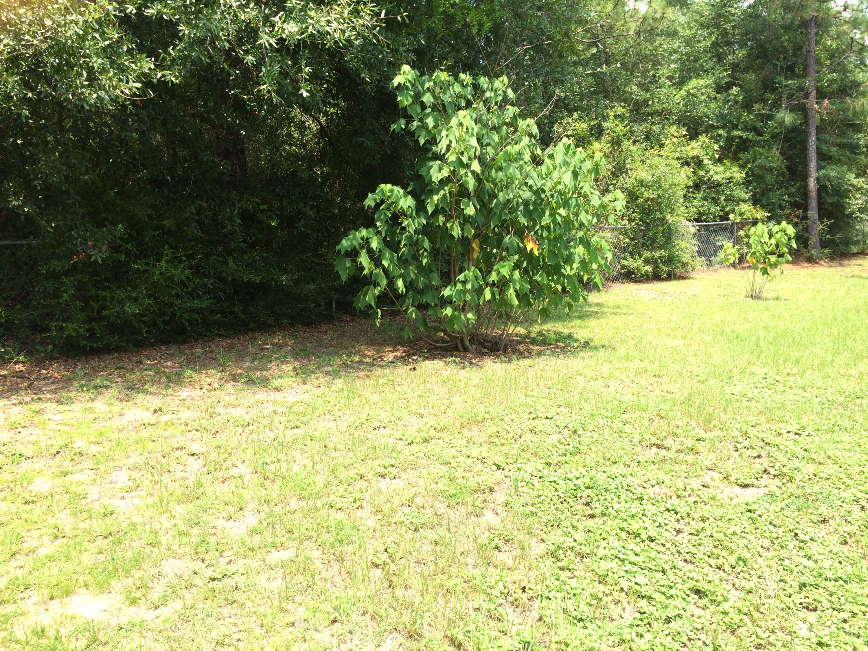 FOXWORTH EST - Residential