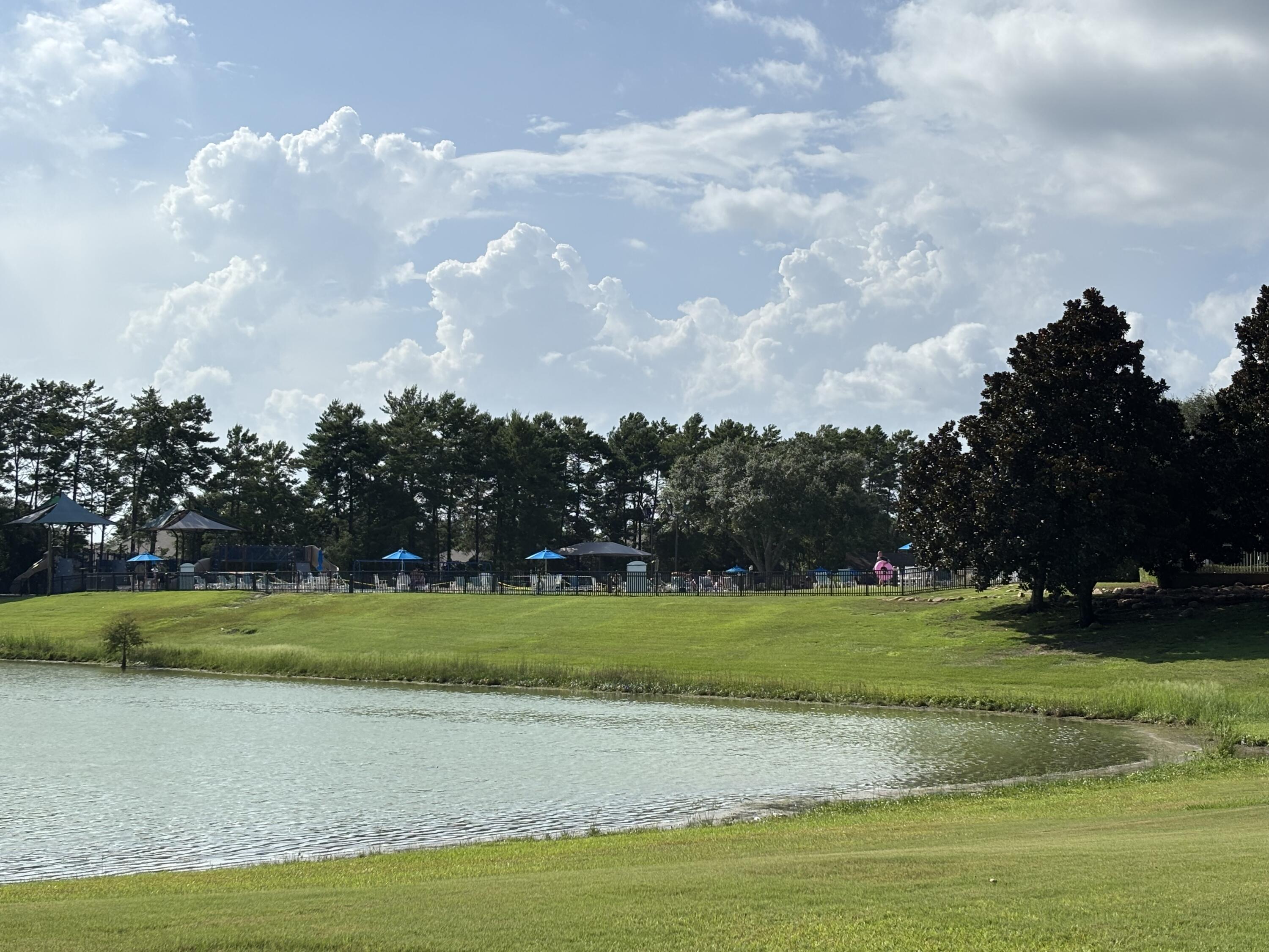 HAMMOCK BAY - Residential