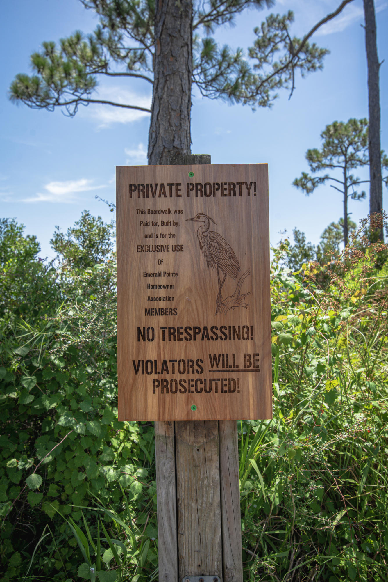 EMERALD POINTE PLAT 3 - Residential