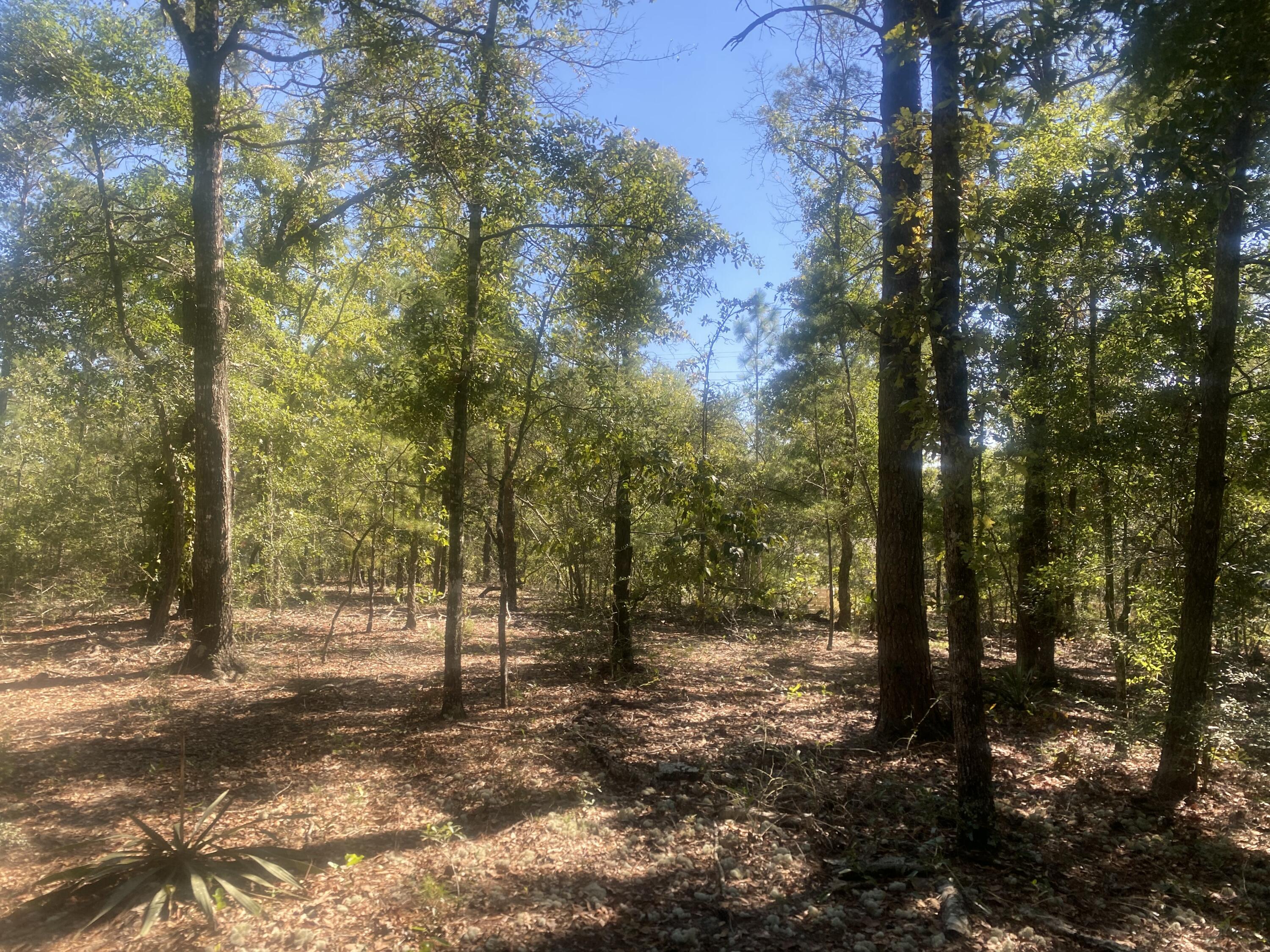 OAKWOOD HILLS - Land