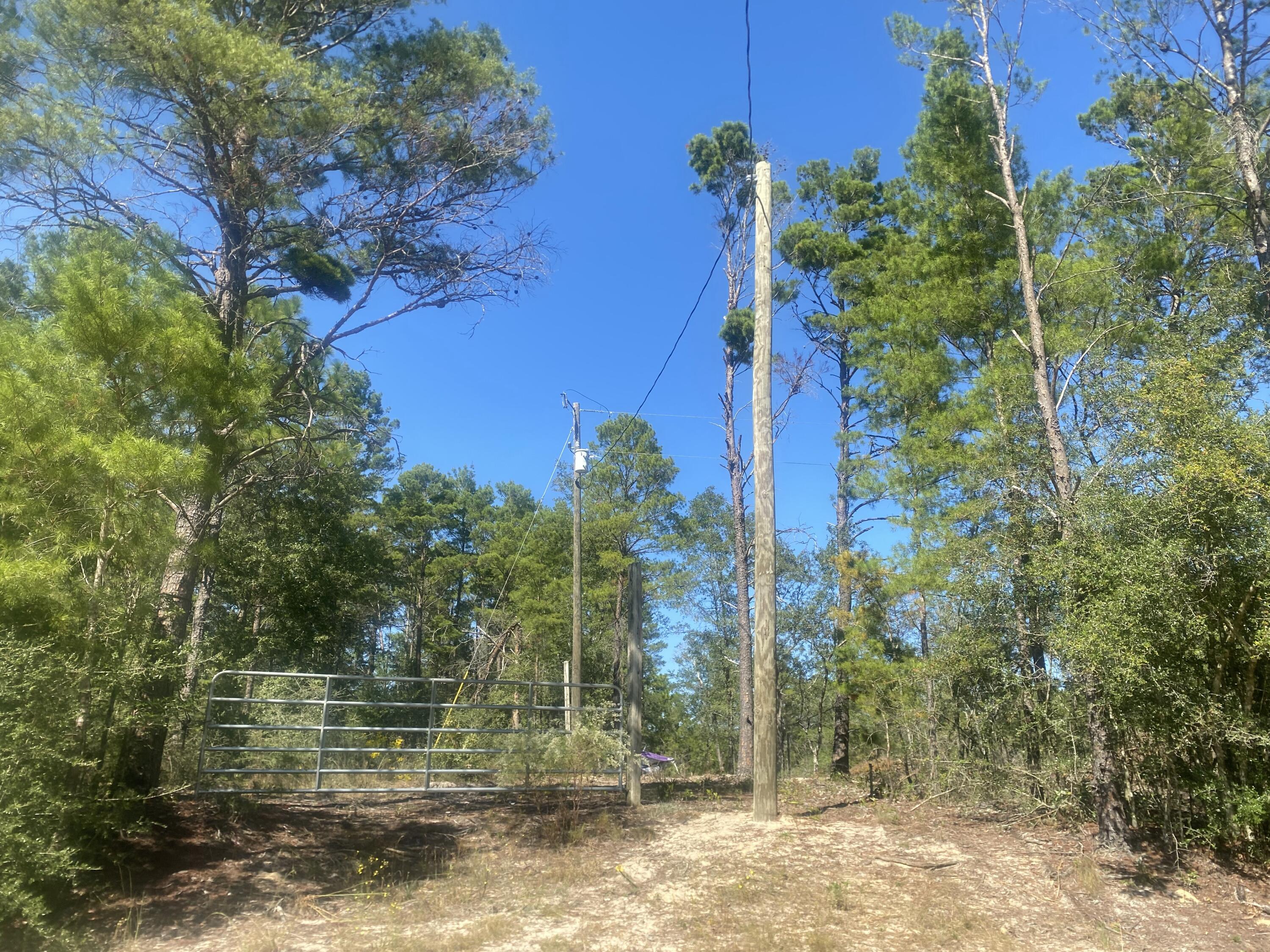 High and Dry! Looking for peace and quiet? Come see this level lot on a private road. Mobile homes allowed. Wildlife is abundant. Electric is nextdoor. Partially cleared vacant land in the up and coming Mossy Head area of Defuniak springs. You would find the property suitable for a new construction home or even a mobile home.