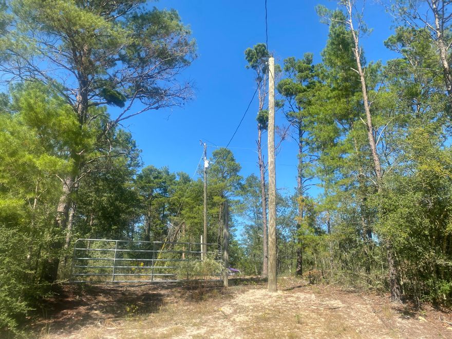 High and Dry! Looking for peace and quiet? Come see this level lot on a private road. Mobile homes allowed. Wildlife is abundant. Electric is nextdoor. Partially cleared vacant land in the up and coming Mossy Head area of Defuniak springs. You would find the property suitable for a new construction home or even a mobile home.