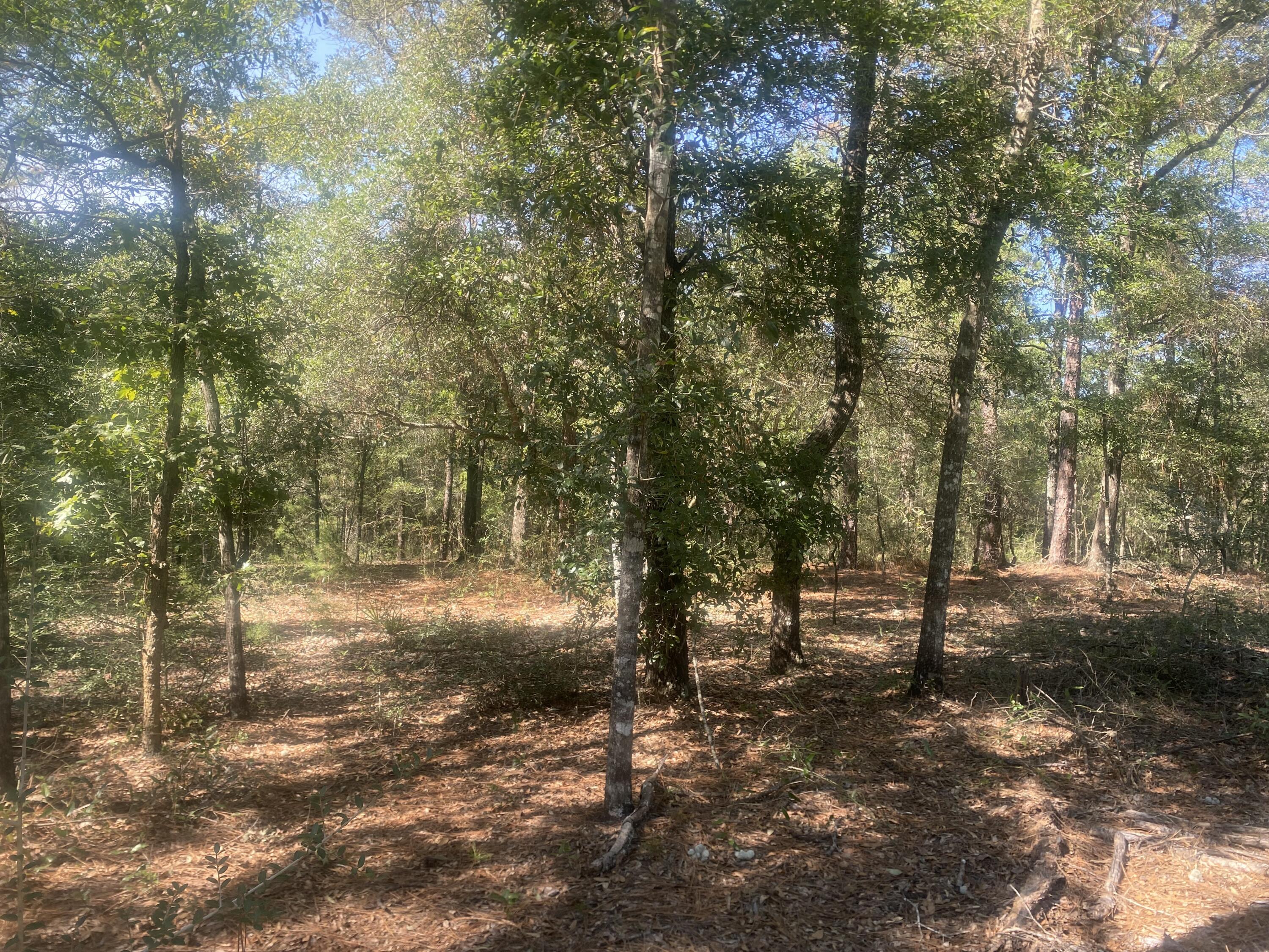OAKWOOD HILLS - Land