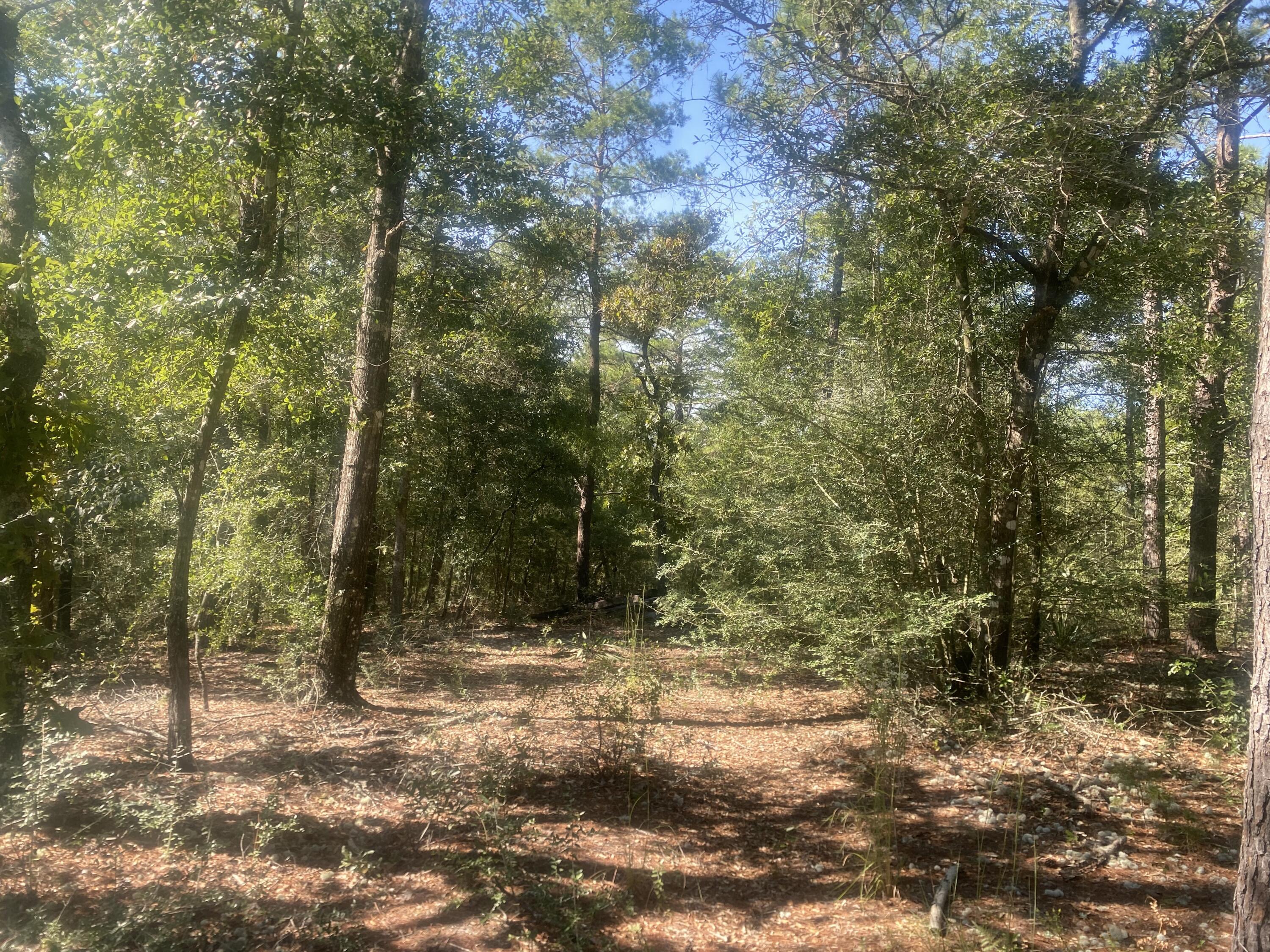 OAKWOOD HILLS - Land
