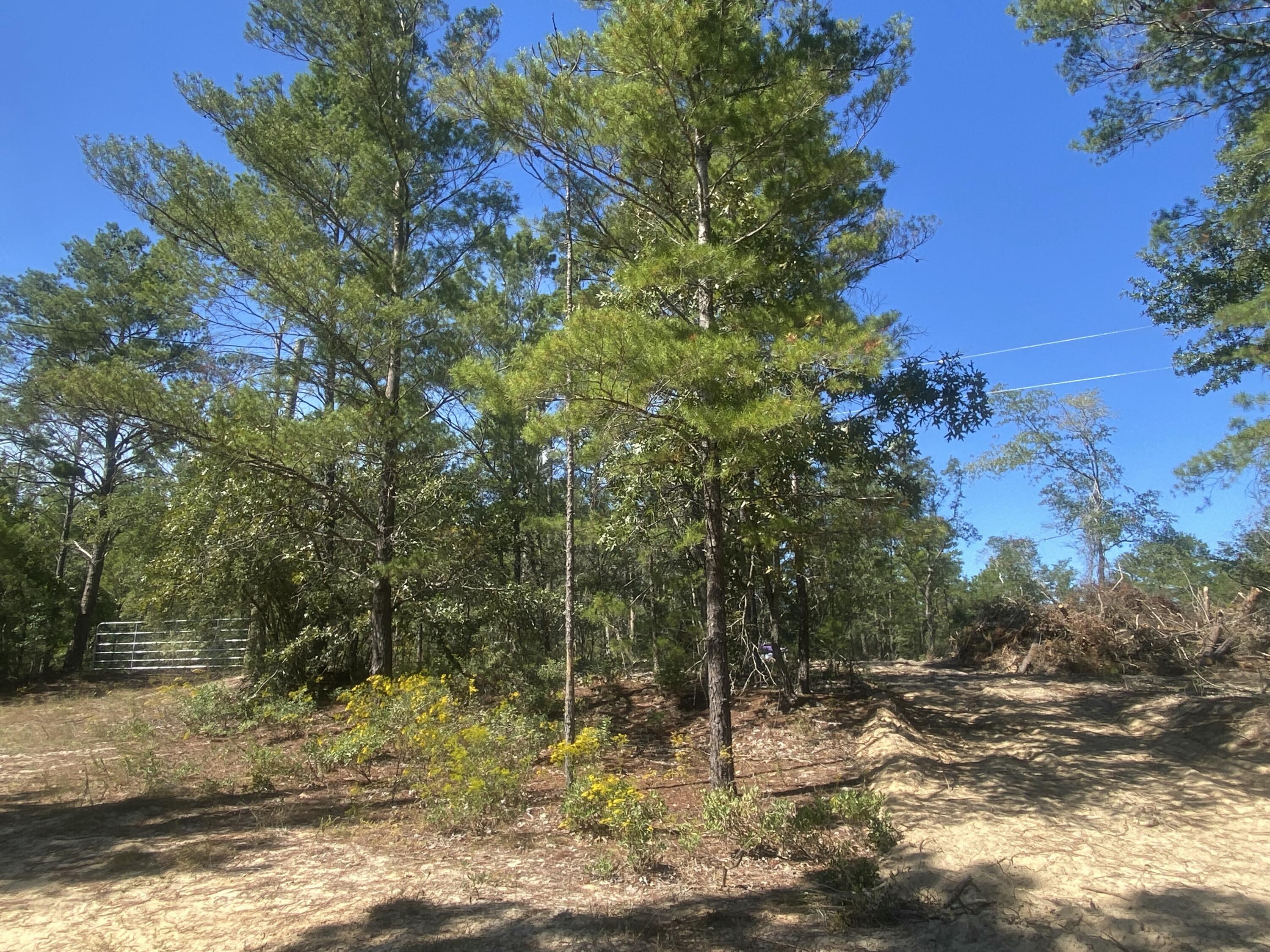 OAKWOOD HILLS - Land