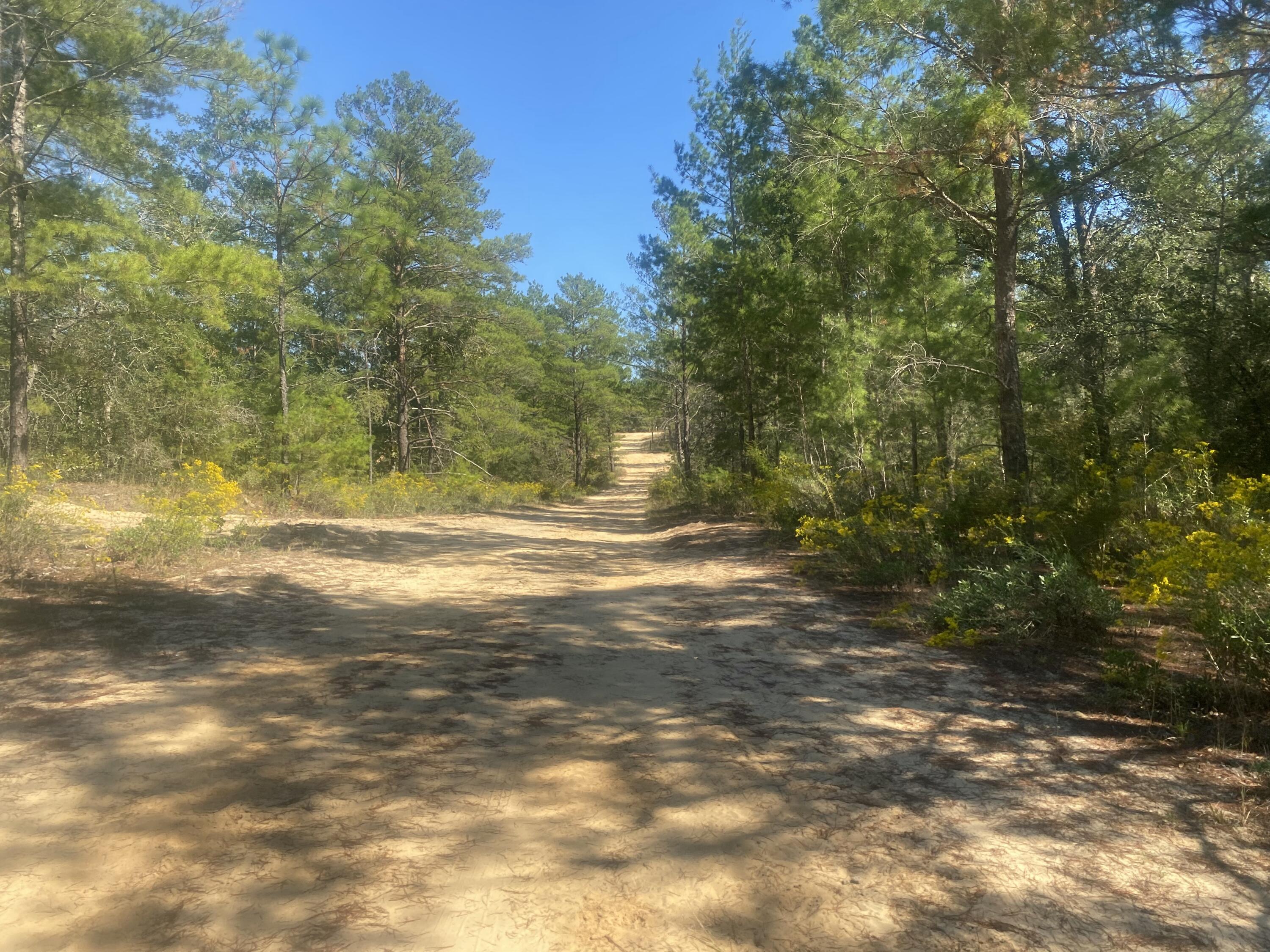 OAKWOOD HILLS - Land
