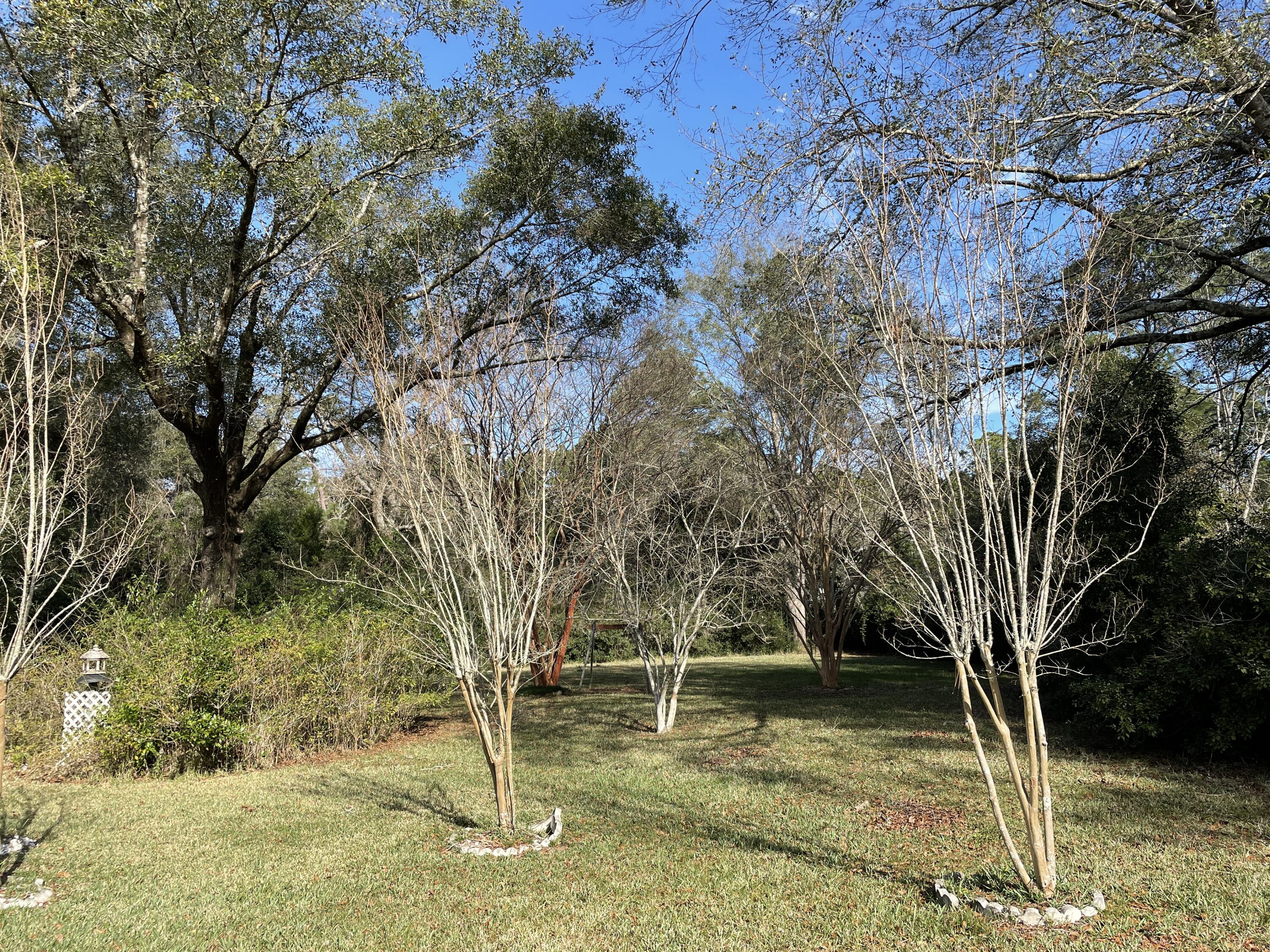 PINE SHORES - Residential