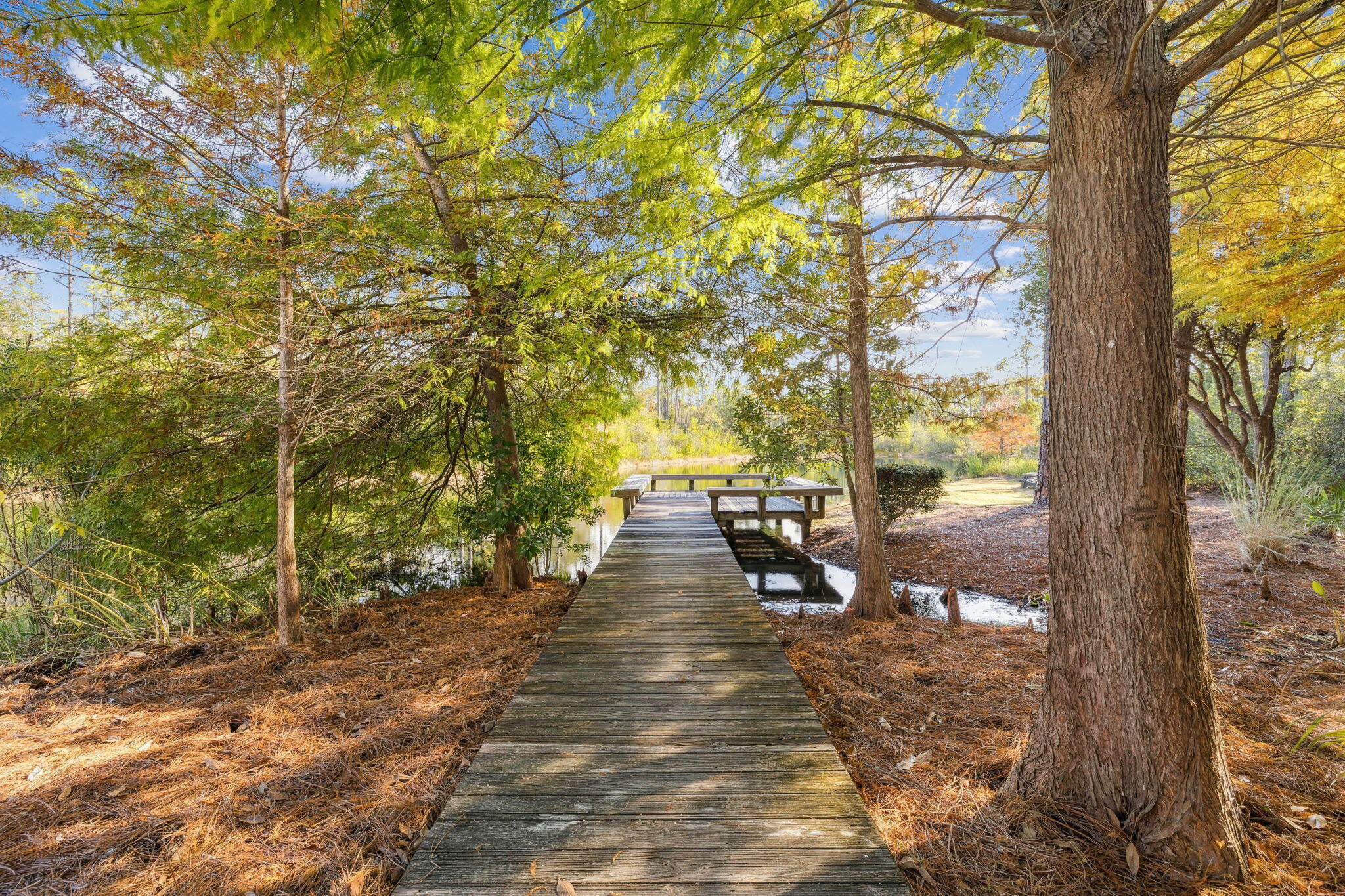 WATERCOLOR - Residential