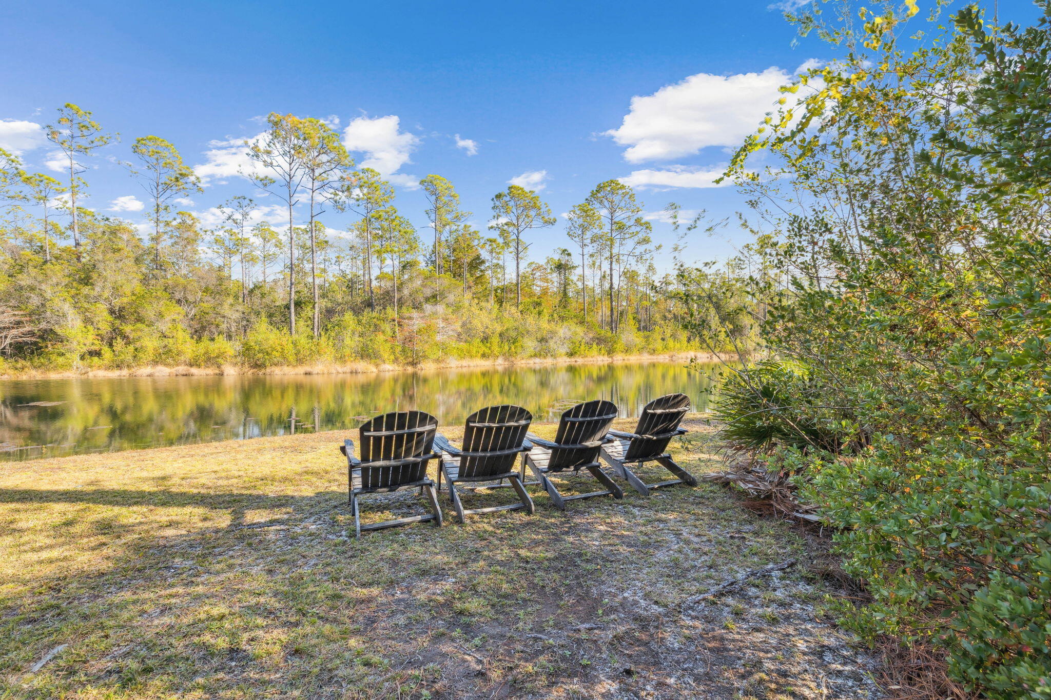 WATERCOLOR - Residential