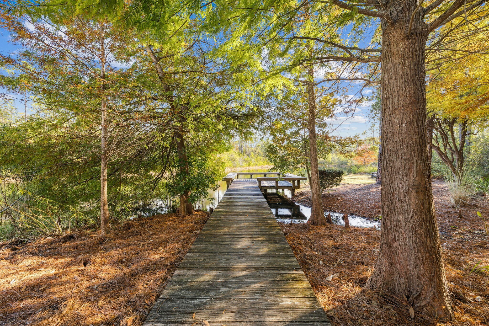 WATERCOLOR - Residential
