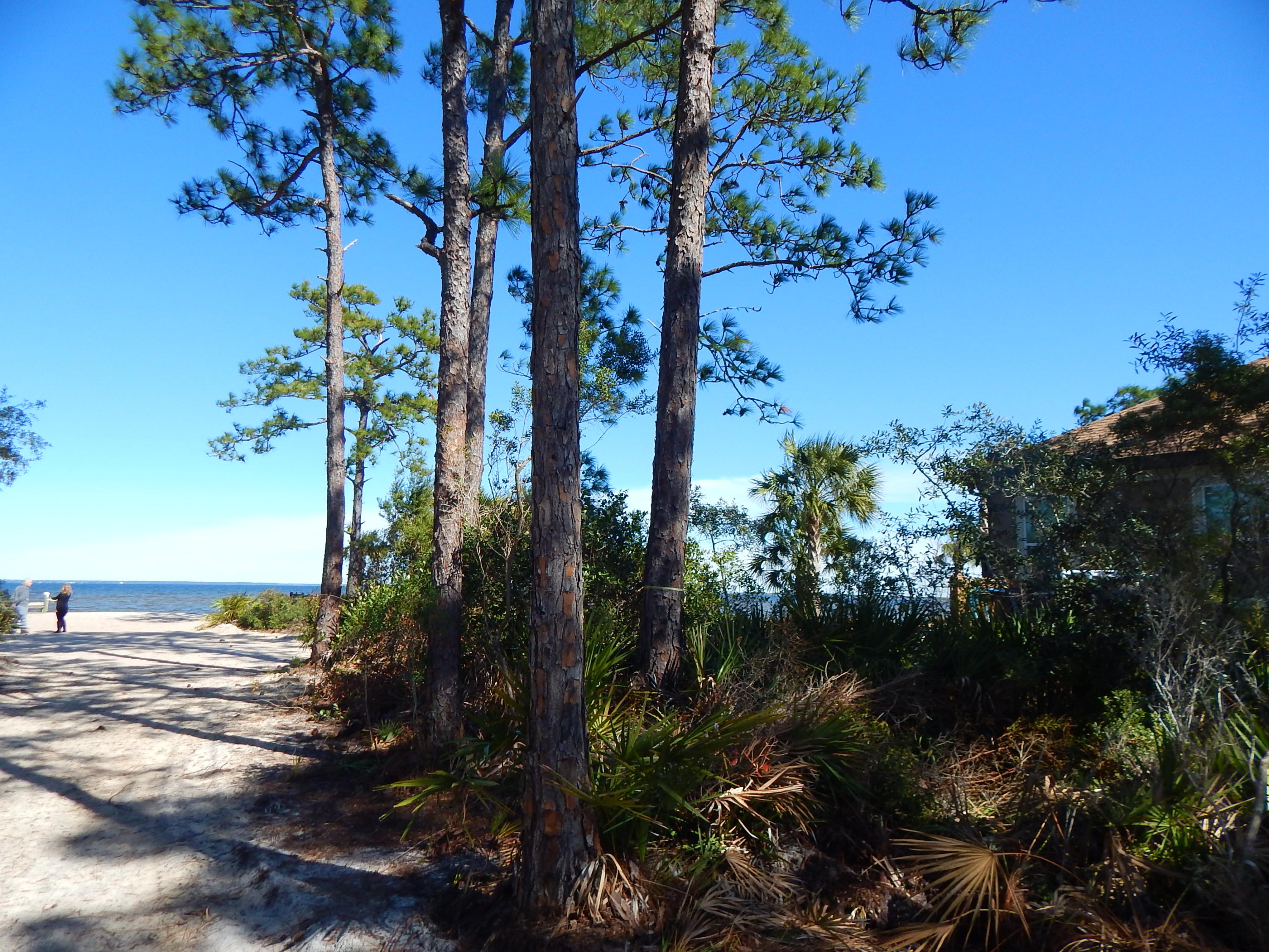 DRIFTWOOD ESTATES - Land