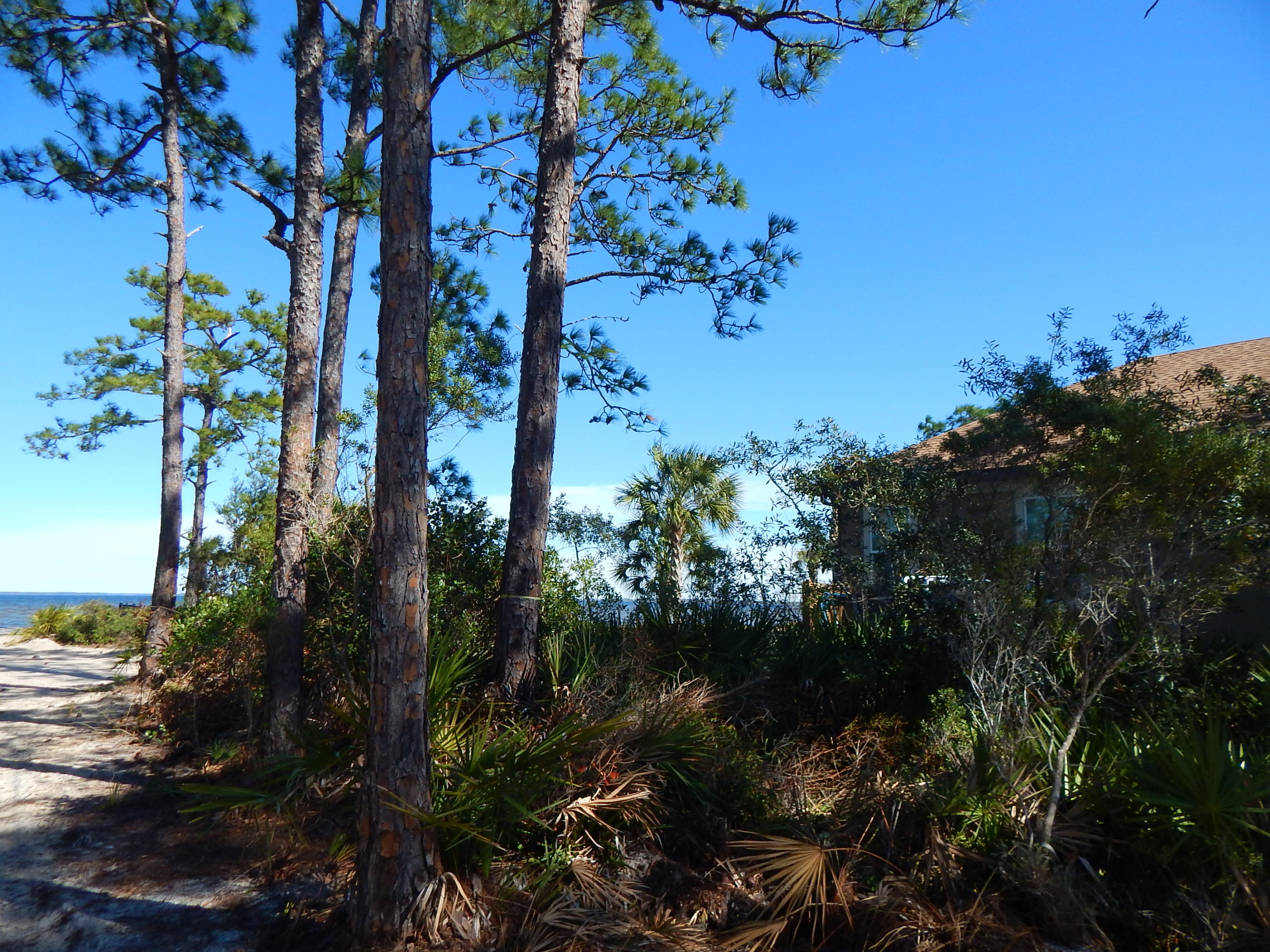 DRIFTWOOD ESTATES - Land