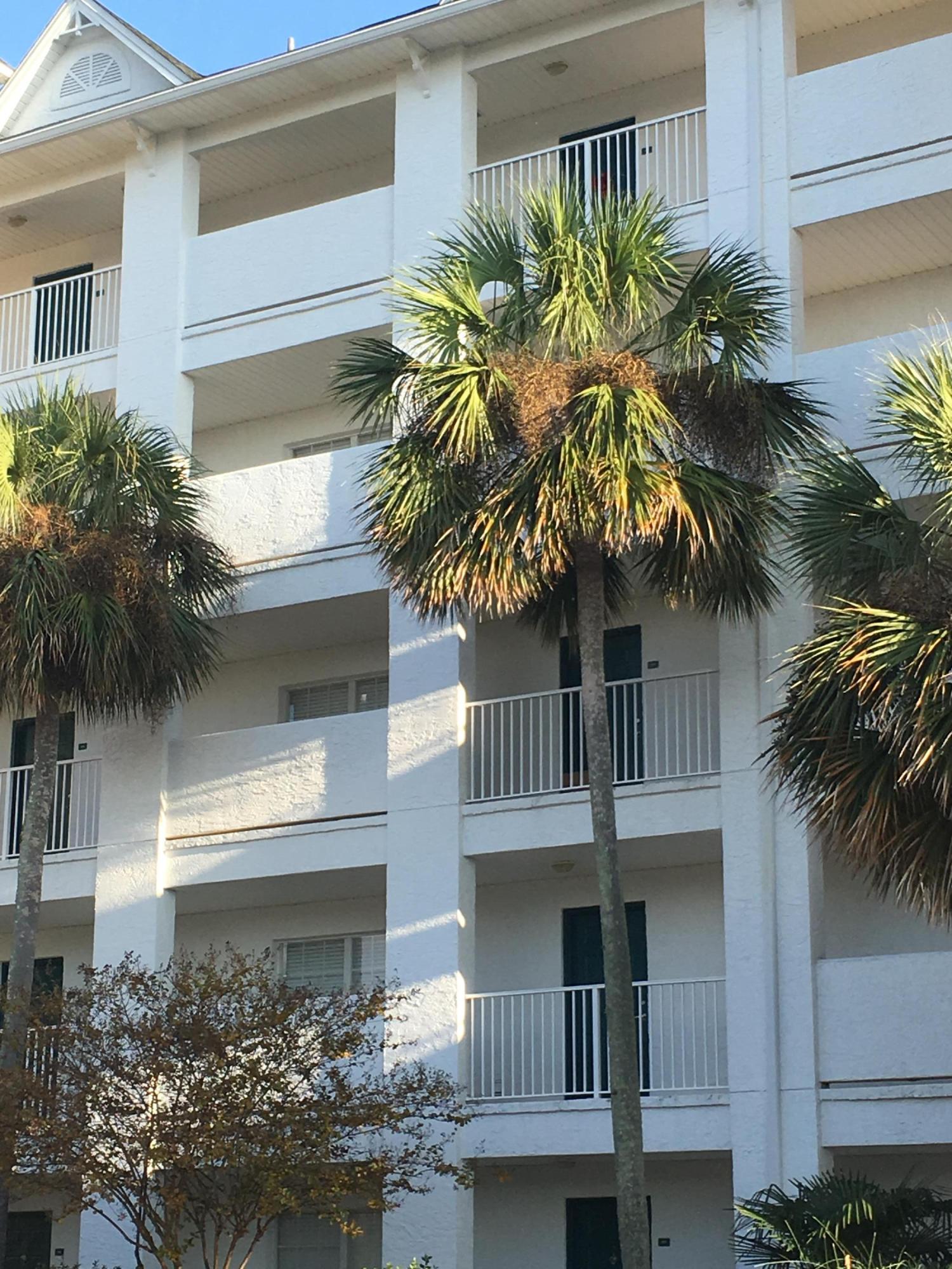 THE FLORIDA CLUB - Residential