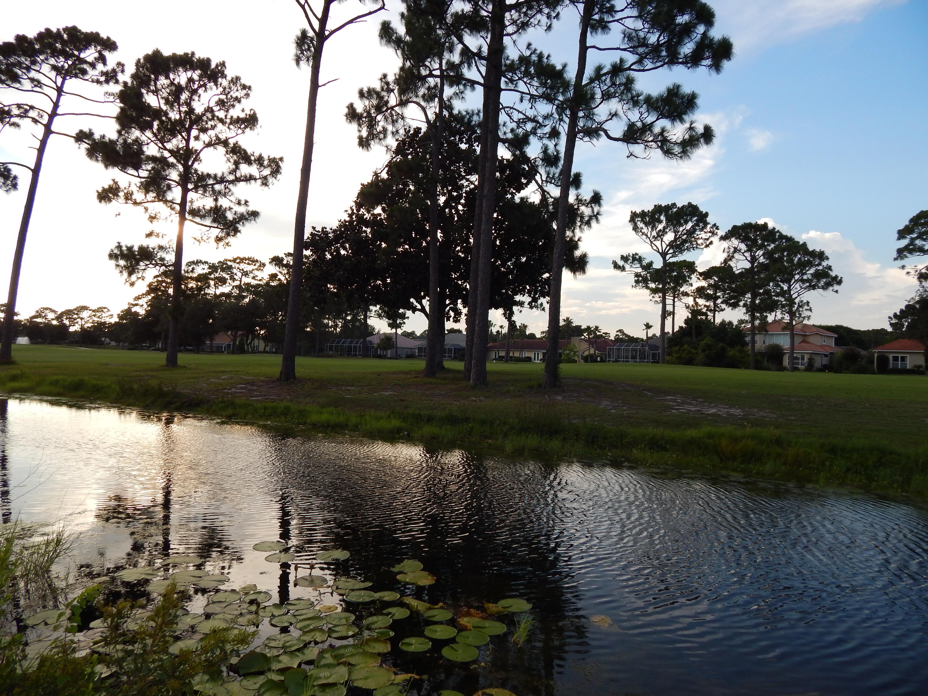 SOUTHWIND PH V - Residential