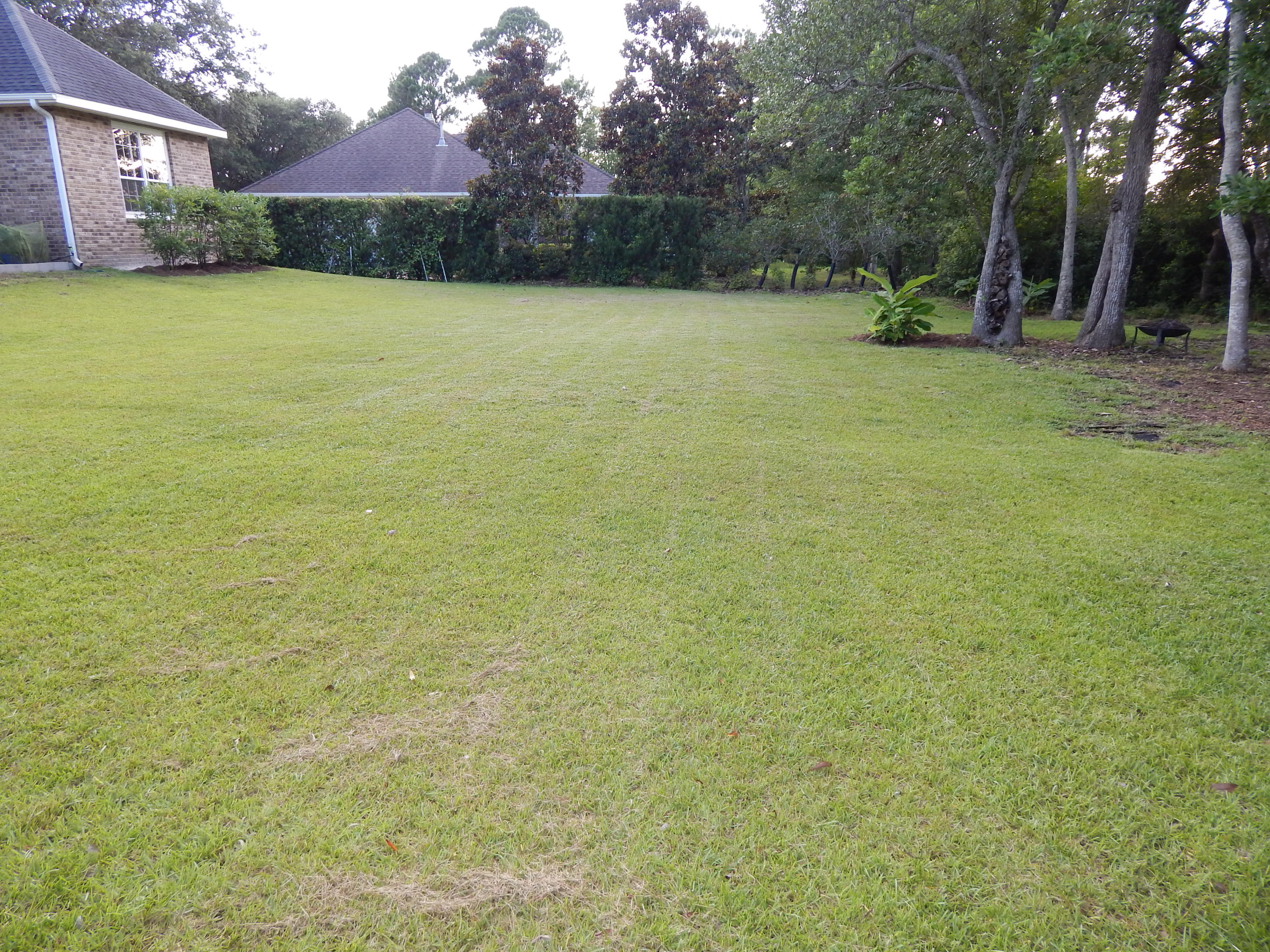 SOUTHWIND PH V - Residential