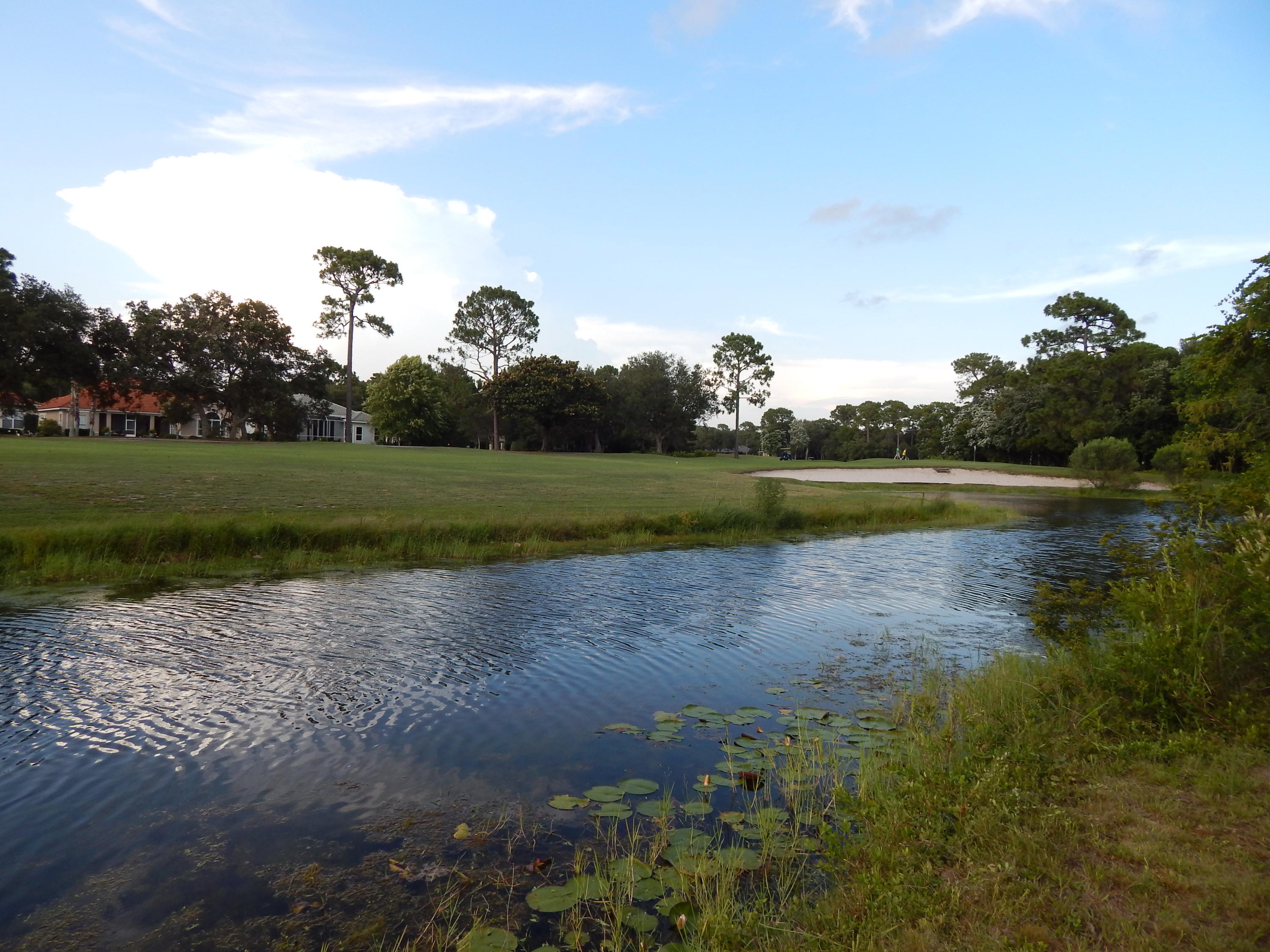 SOUTHWIND PH V - Residential