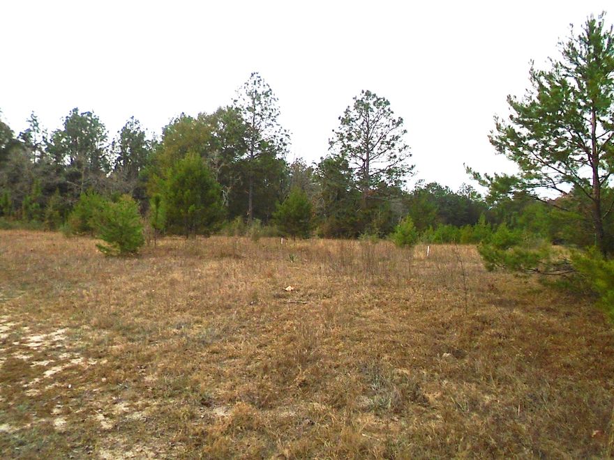 LOCATED JUST NORTH OF CRESTVIEW ON A PAVED ROAD THIS 1.3 ACRE TRACT OFFERS YOU THE ABILITY TO GET OUT OF TOWN BUT STILL BE WITHIN JUST MINUTES BACK TO SCHOOLS AND SHOPPING. PROPERTY ALLOWS FOR A MOBILE OR YOU CAN BUILD THE HOME YOU HAVE BEEN DREAMING OF RIGHT HERE. NO RESTRICTIONS APPLY. CALL TODAY FOR MORE INFORMATION