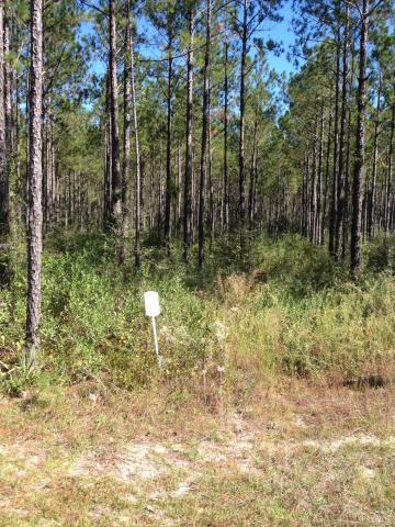 WHISPERS AT HAMMOCK BAY - Land