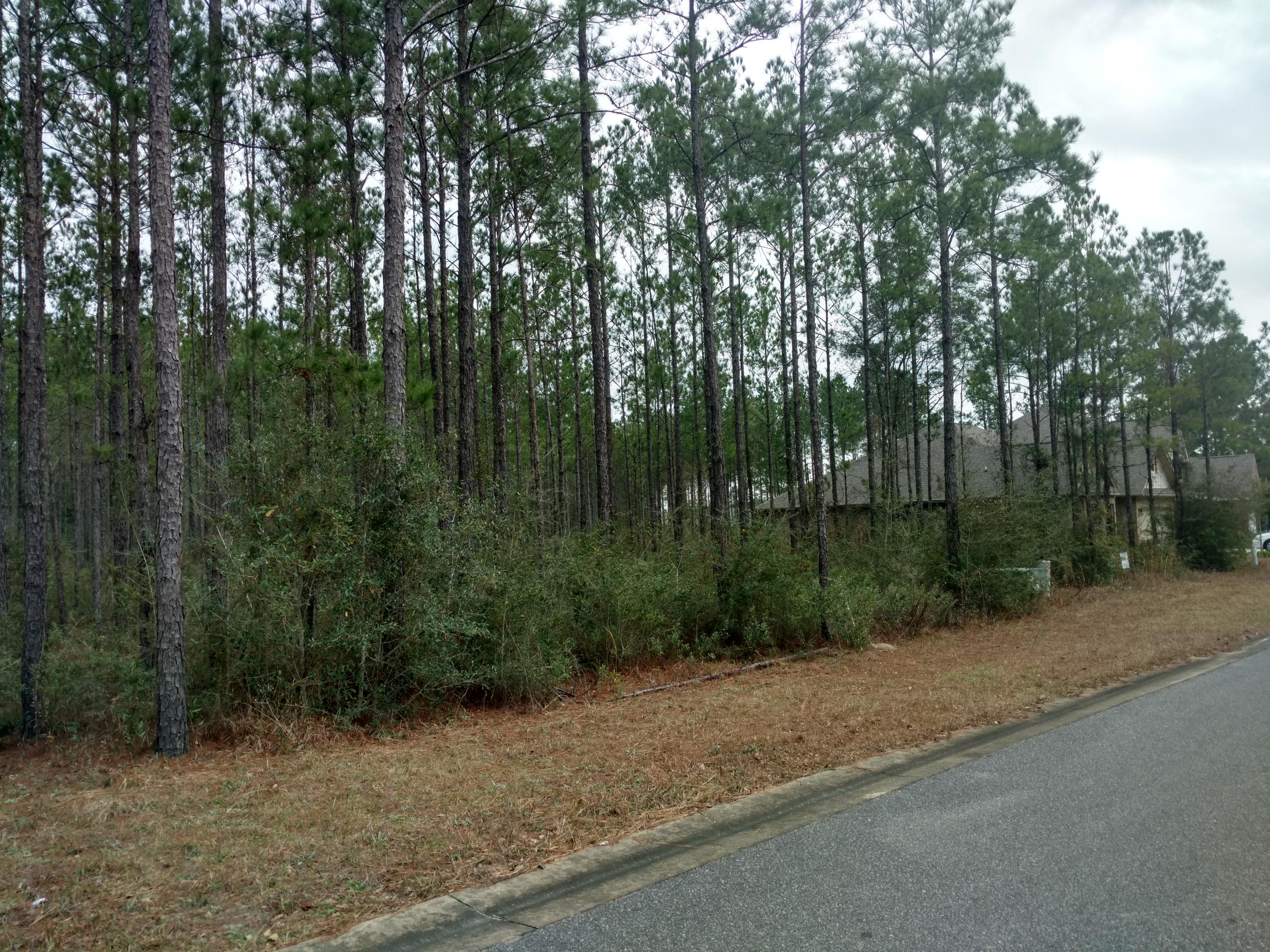 WHISPERS AT HAMMOCK BAY - Land