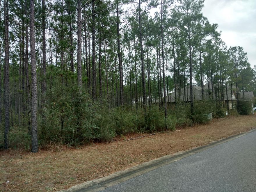 Hammock Bay, one of Freeport's most desirable neighborhoods, is calling your name! Beautiful landscaping, community pools, tennis courts, playground for the kids, walking and bike trails, doggie park and more! Hammock Bay has Restrictive Covenants, HOA and ARC review when building a new home. City Water and Sewer are available and the Tap Fees for this lot has been paid - a big savings! Wooded lot with nice trees. Lots 32 and 33 also available. Buy One, Two or all Three!