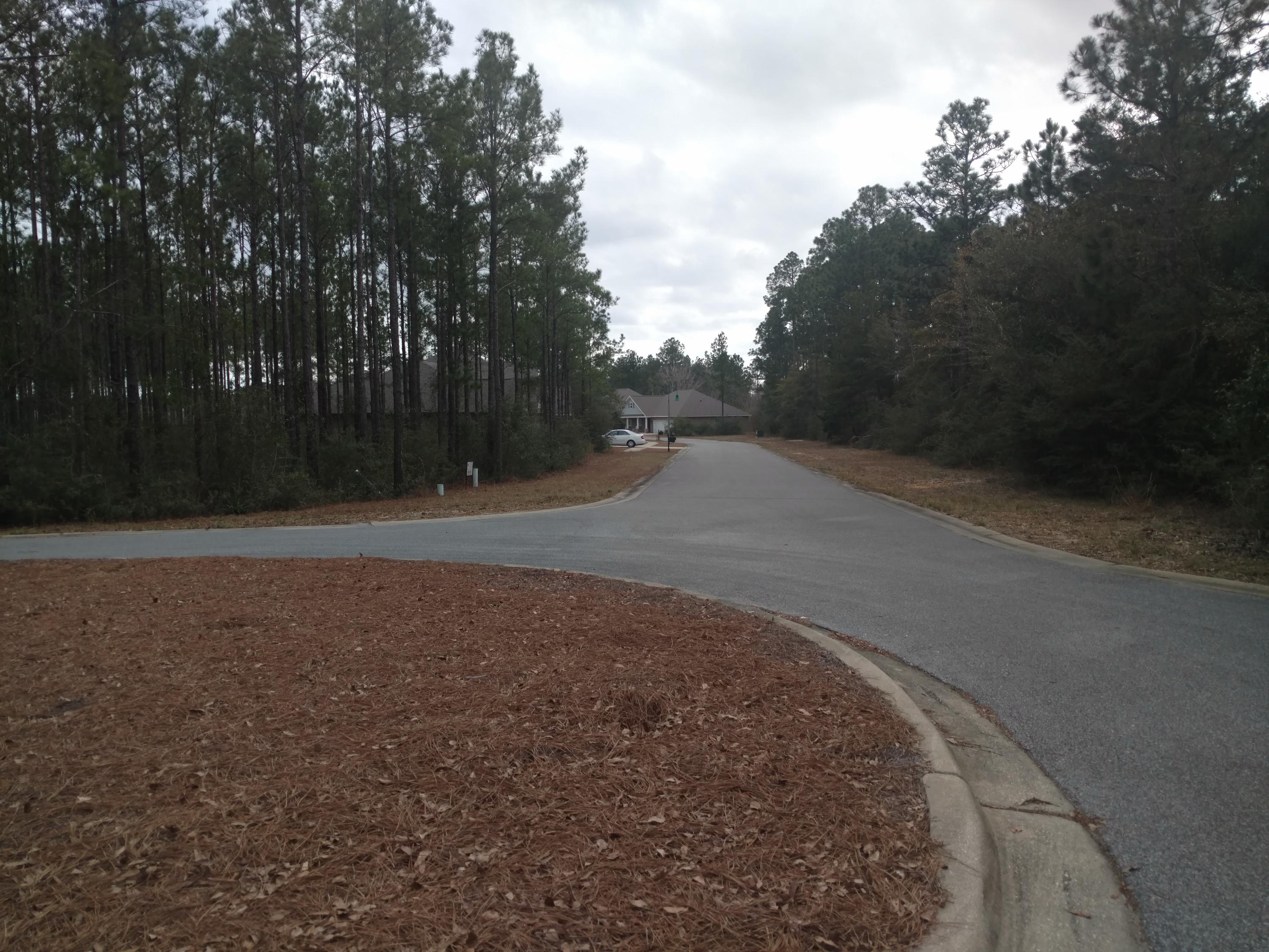 WHISPERS AT HAMMOCK BAY - Land