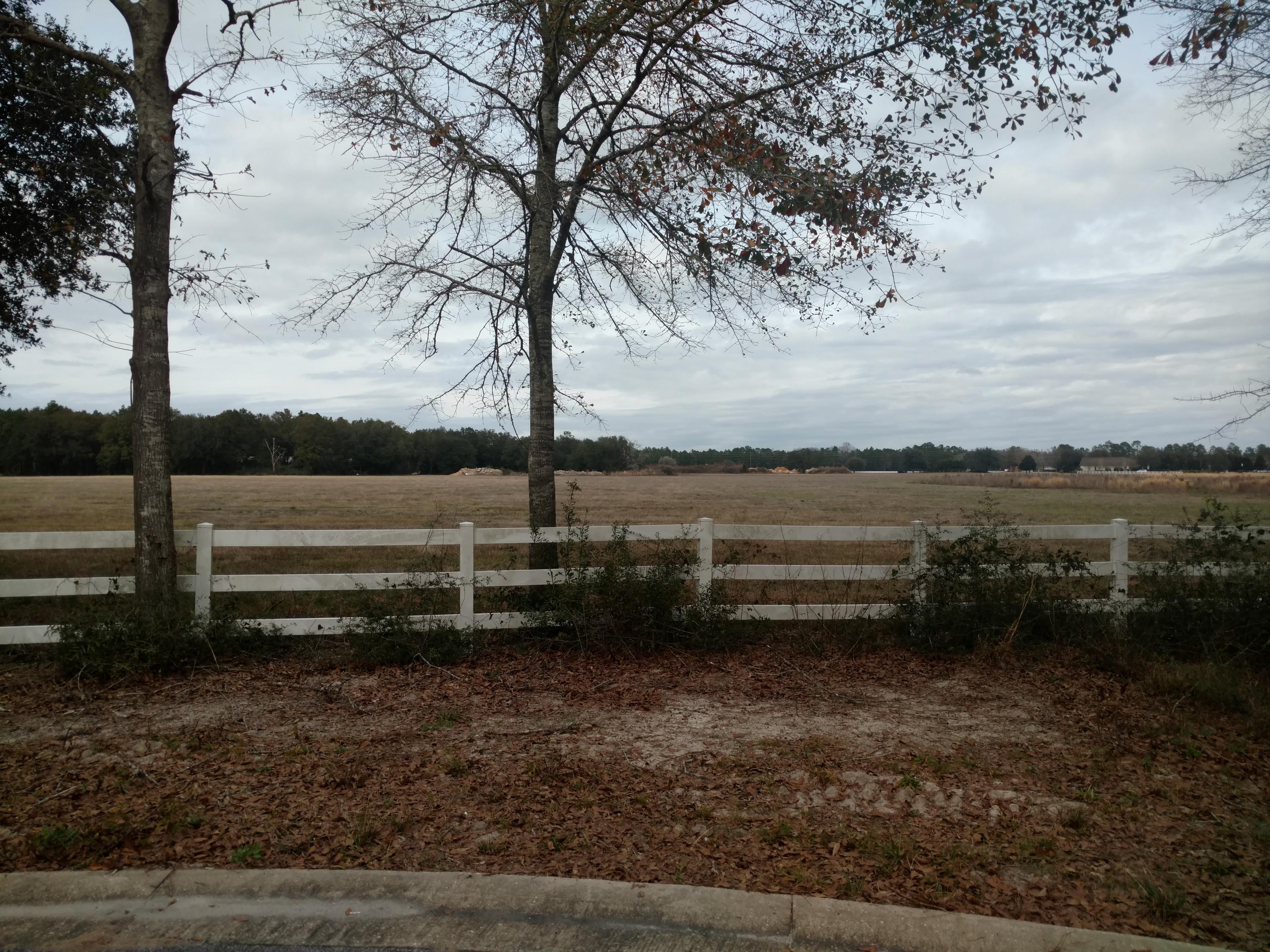 WHISPERS AT HAMMOCK BAY - Land